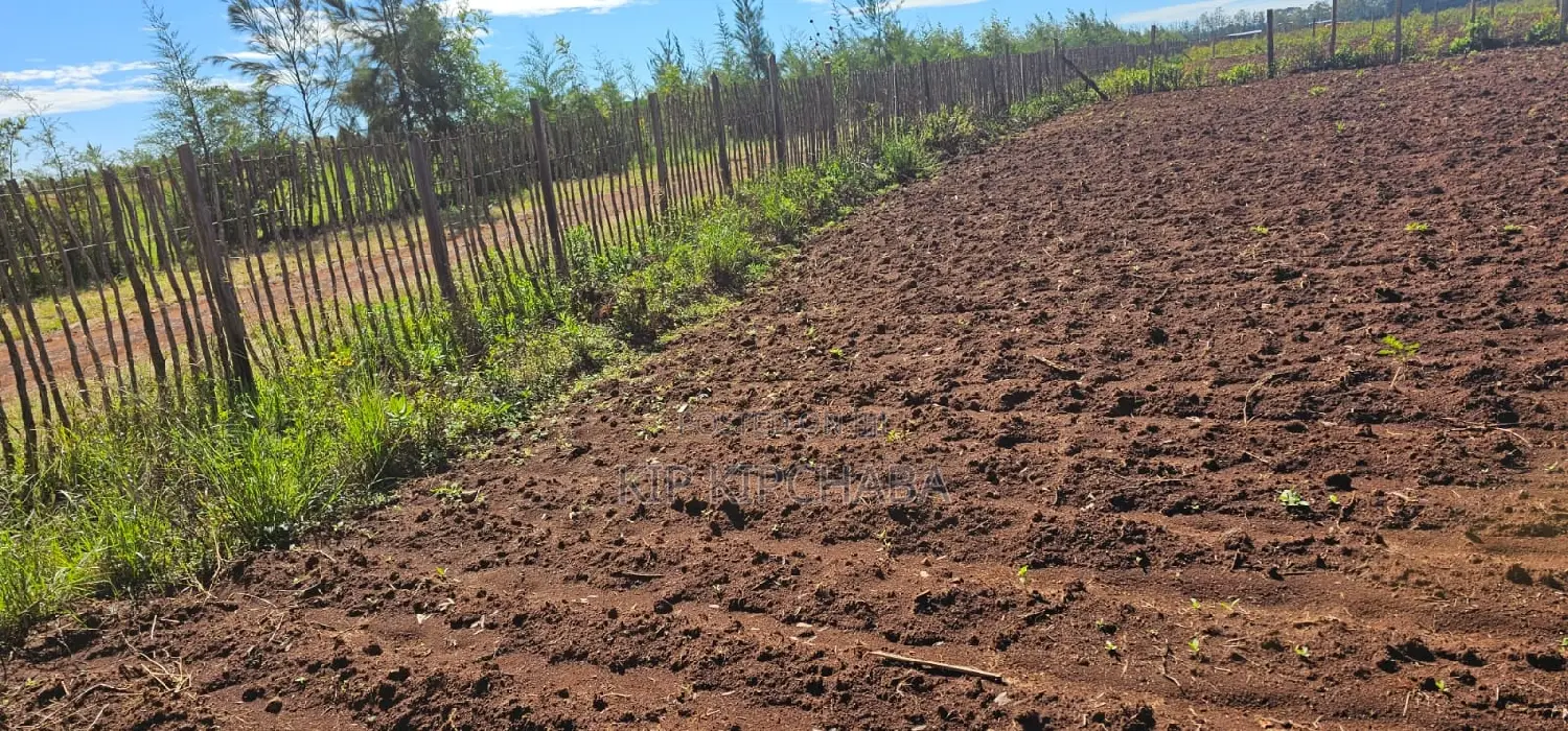Terra-Adjacent Plots in Marura Eldoret - Sell Your Dream Home Today in Kapseret