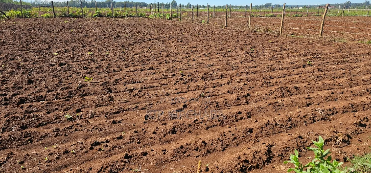 Terra-Adjacent Plots in Marura Eldoret - Sell Your Dream Home Today in Kapseret