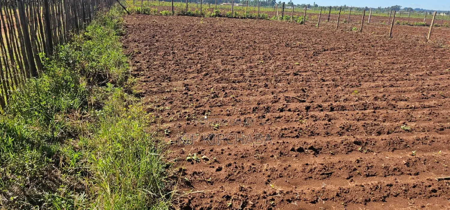 Terra-Adjacent Plots in Marura Eldoret - Sell Your Dream Home Today in Kapseret