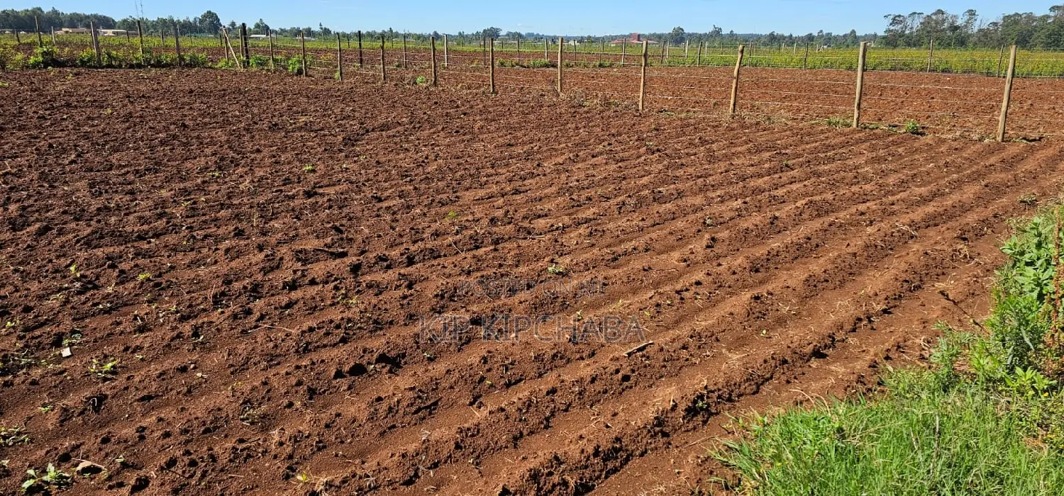 Terra-Adjacent Plots in Marura Eldoret - Sell Your Dream Home Today in Kapseret