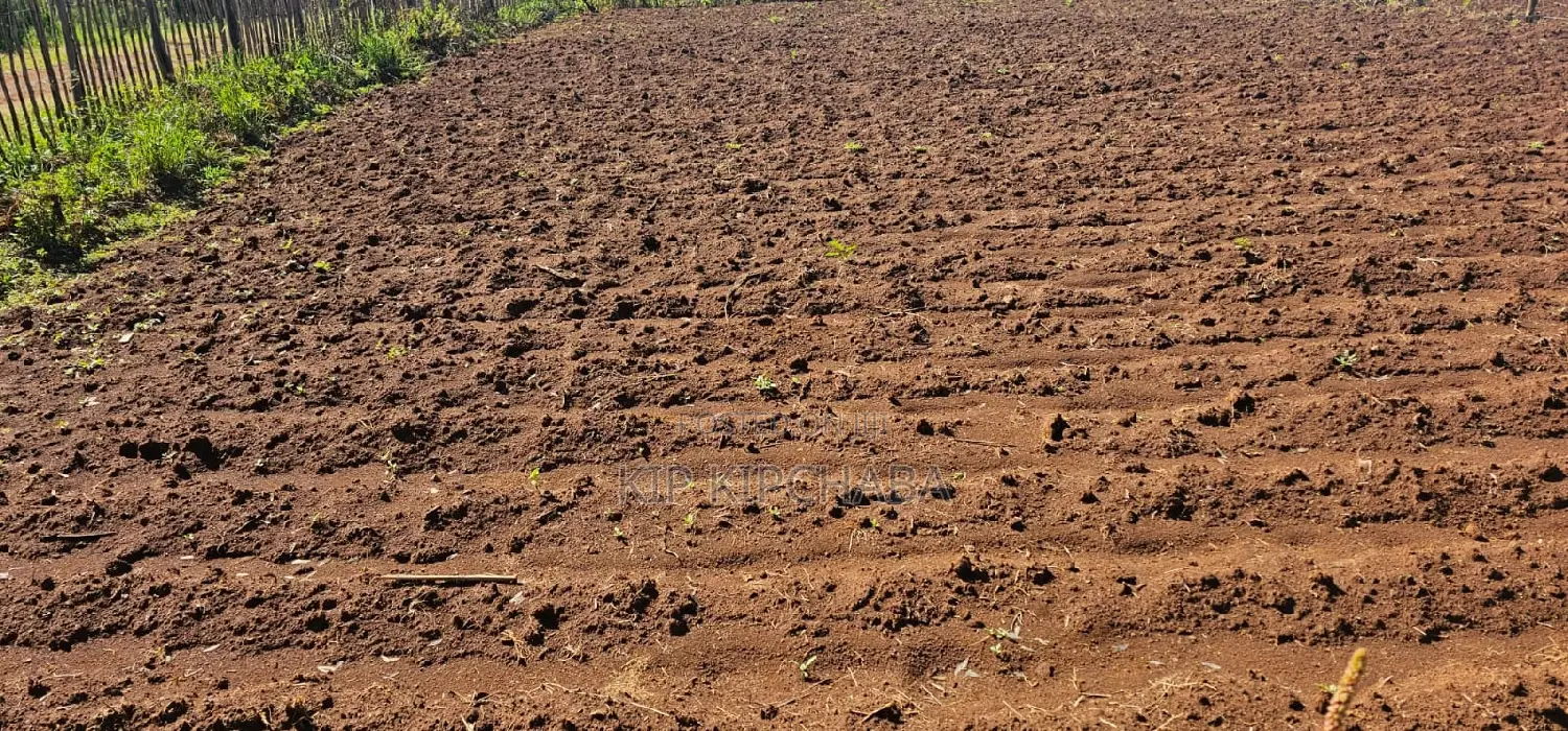 Terra-Adjacent Plots in Marura Eldoret - Sell Your Dream Home Today in Kapseret