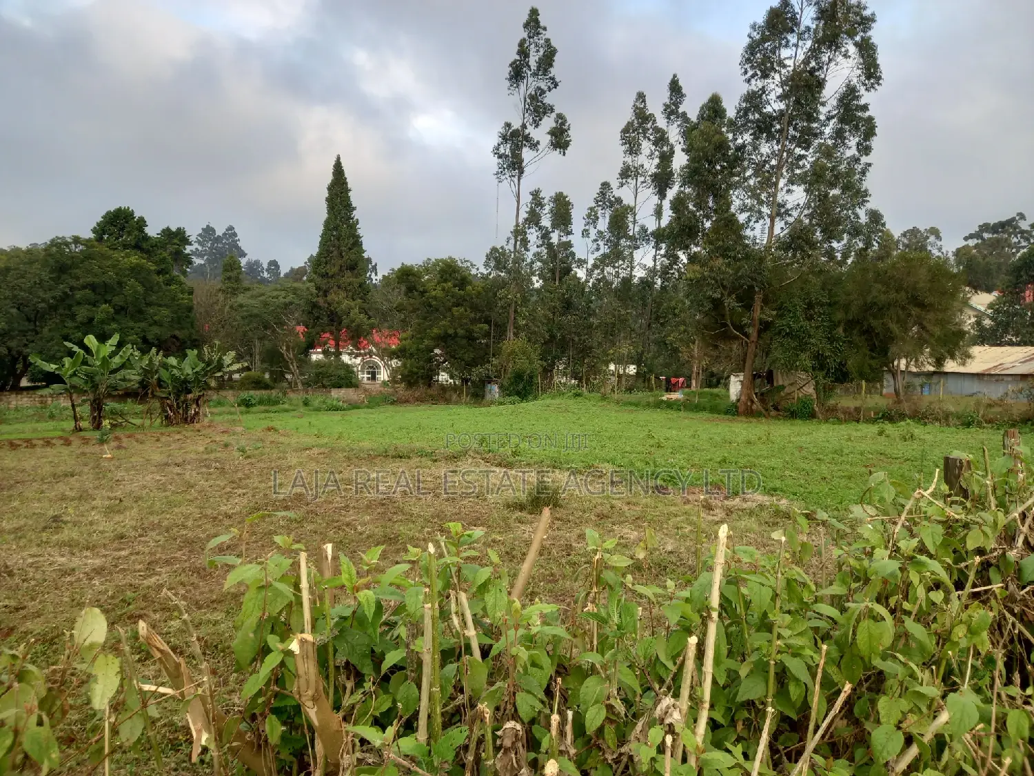 Limuru Industrial Plot Sale in Limuru