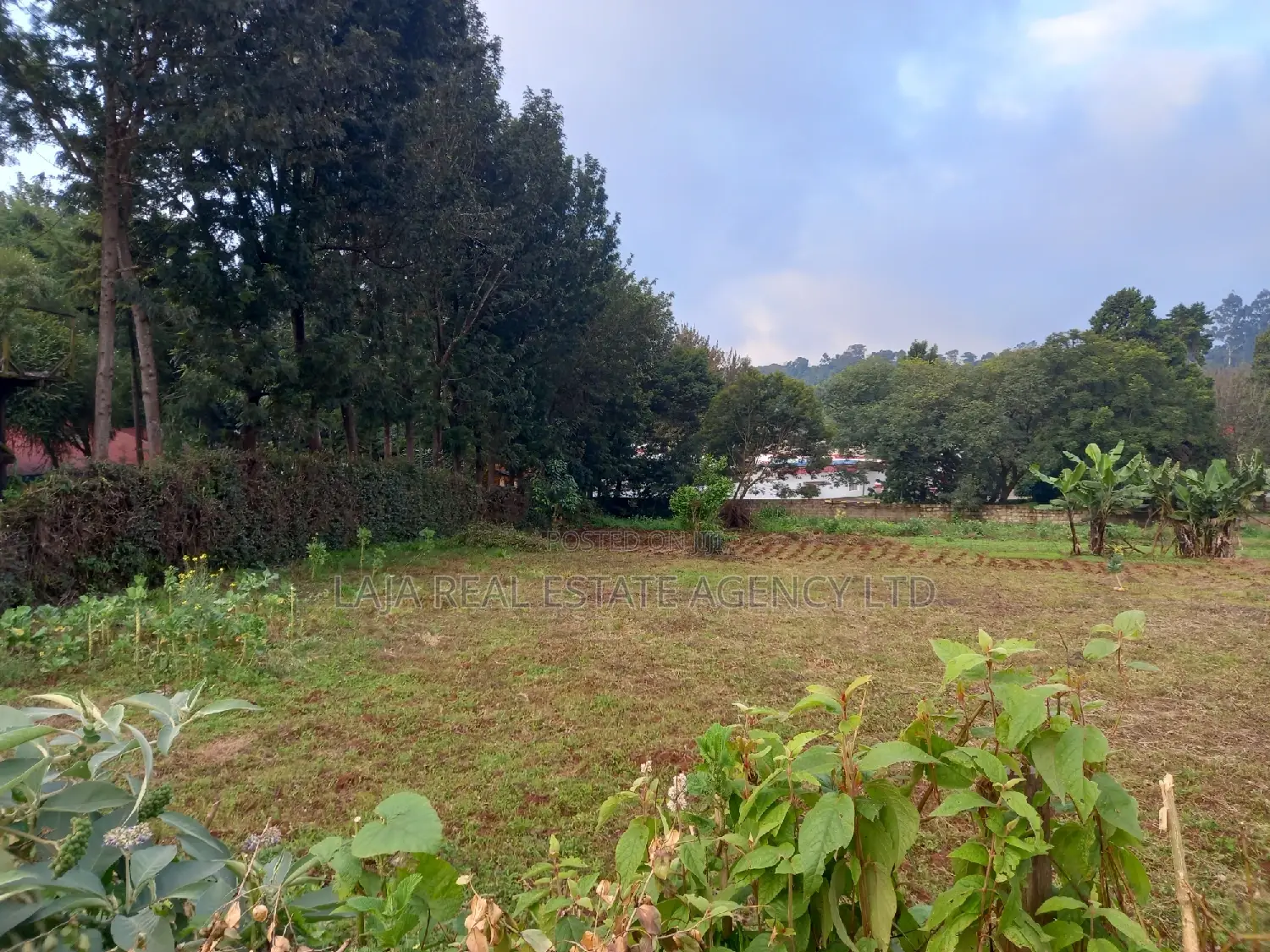 Limuru Industrial Plot Sale in Limuru