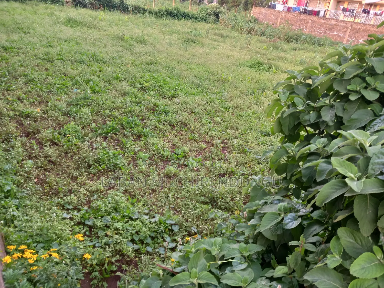 Land for Sale in Limuru