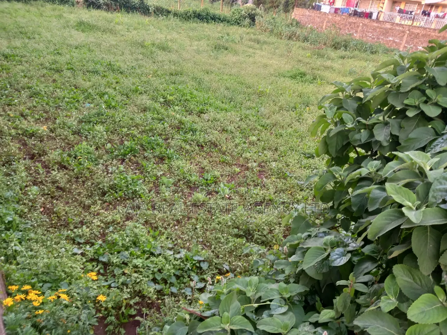 Limuru Industrial Plot Sale in Limuru
