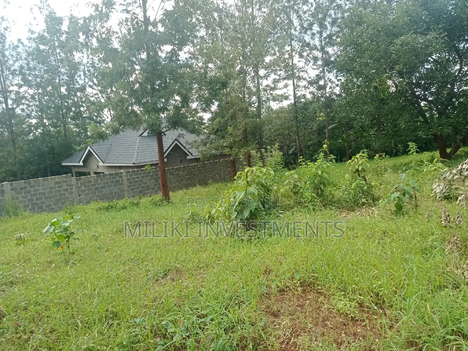 Buy 50 x 100 Plots on Kenol-Kaggia Road - Limited Time Offer in Kimorori/Wempa