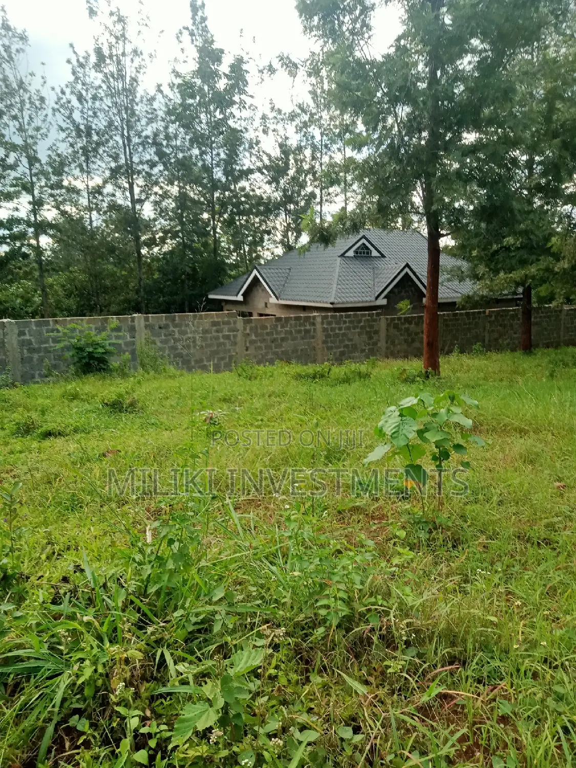 Buy 50 x 100 Plots on Kenol-Kaggia Road - Limited Time Offer in Kimorori/Wempa
