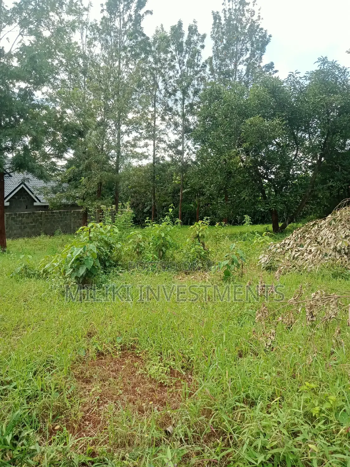 Buy 50 x 100 Plots on Kenol-Kaggia Road - Limited Time Offer in Kimorori/Wempa