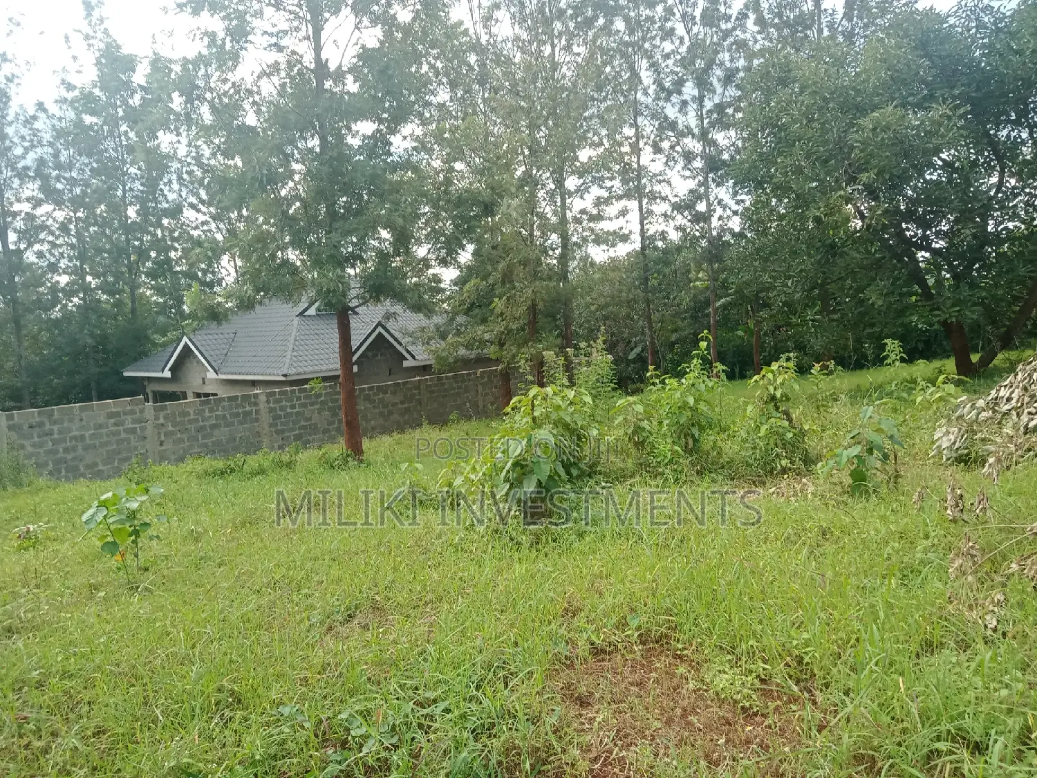 Buy 50 x 100 Plots on Kenol-Kaggia Road - Limited Time Offer in Kimorori/Wempa
