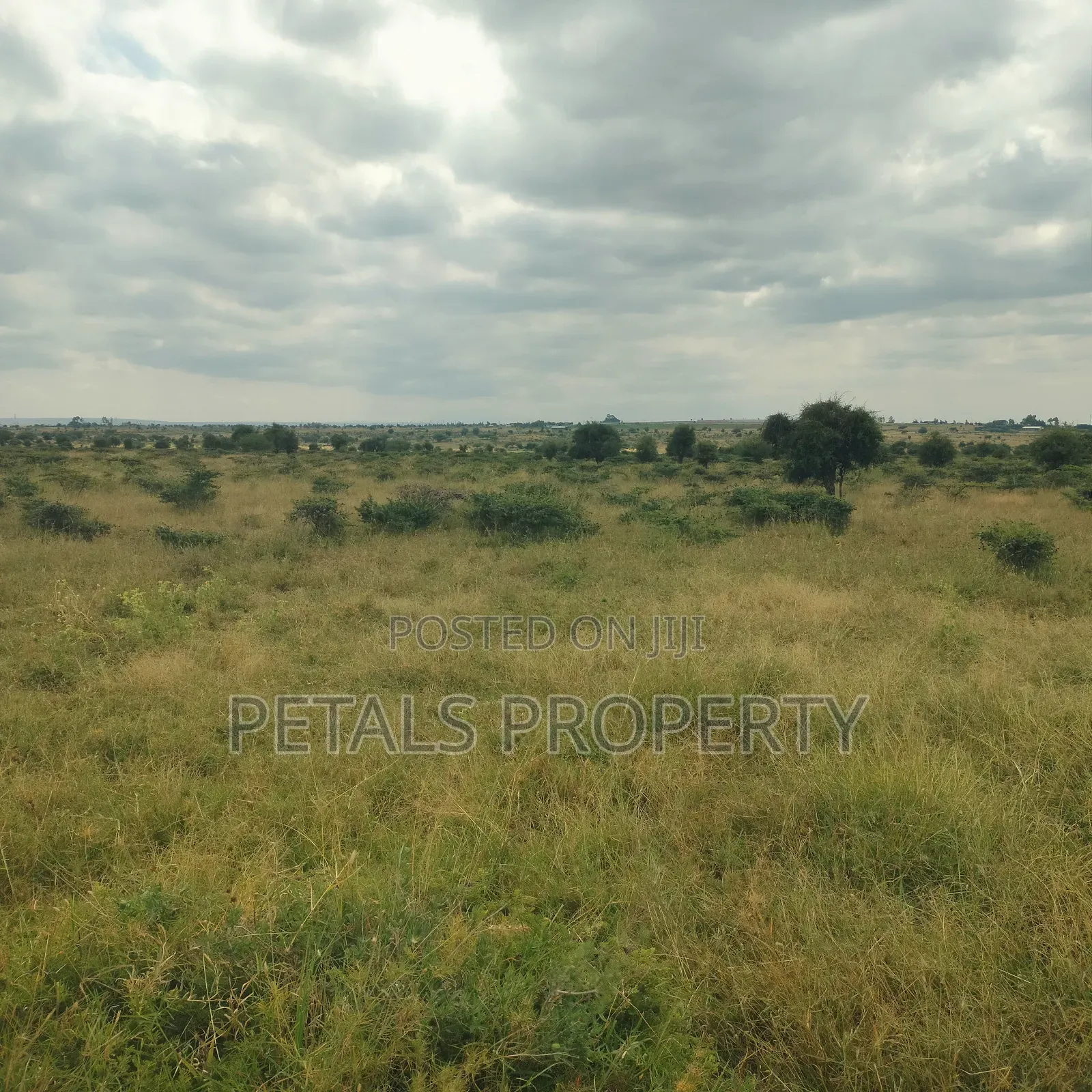 180 Acres of Land for Sale: Prime Location on Isinya-Kajiado Highway in Isinya