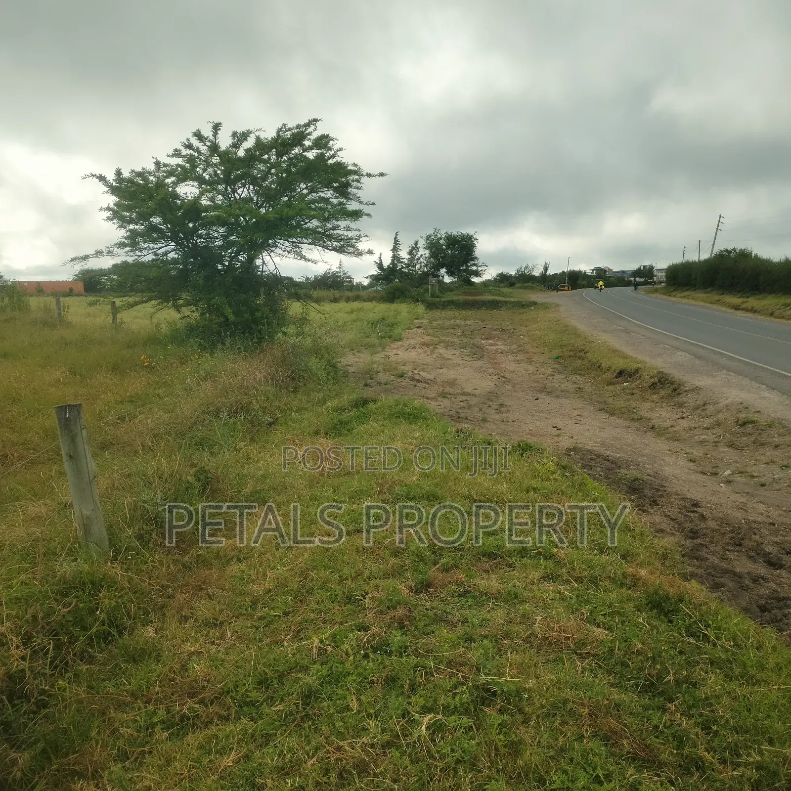 Kajiado 50-Acre Property: Prime Land with Road Access! in DalaleKutuk