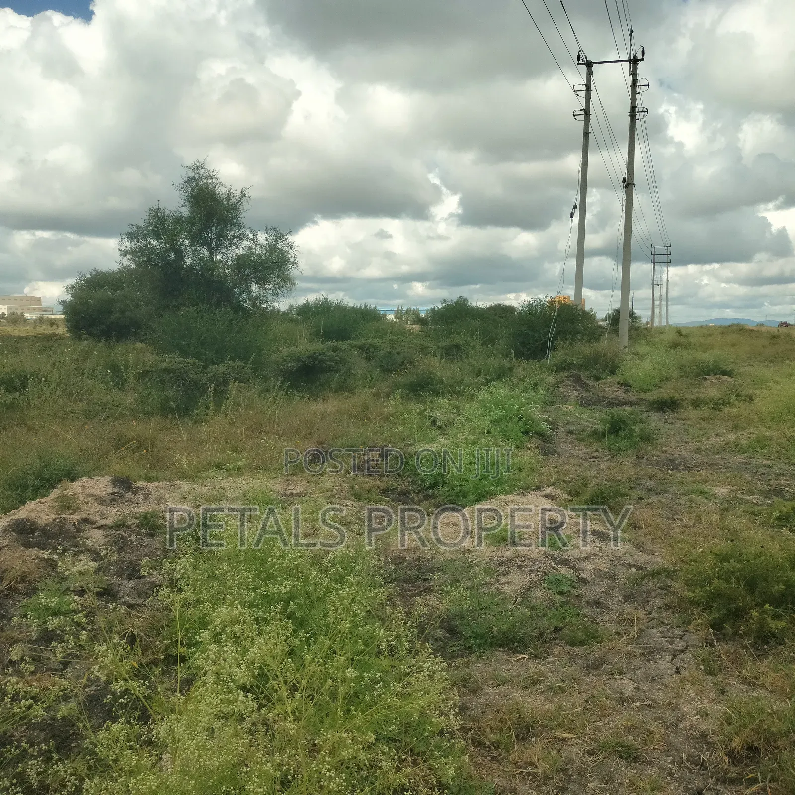 Kajiado 50-Acre Property: Prime Land with Road Access! in DalaleKutuk