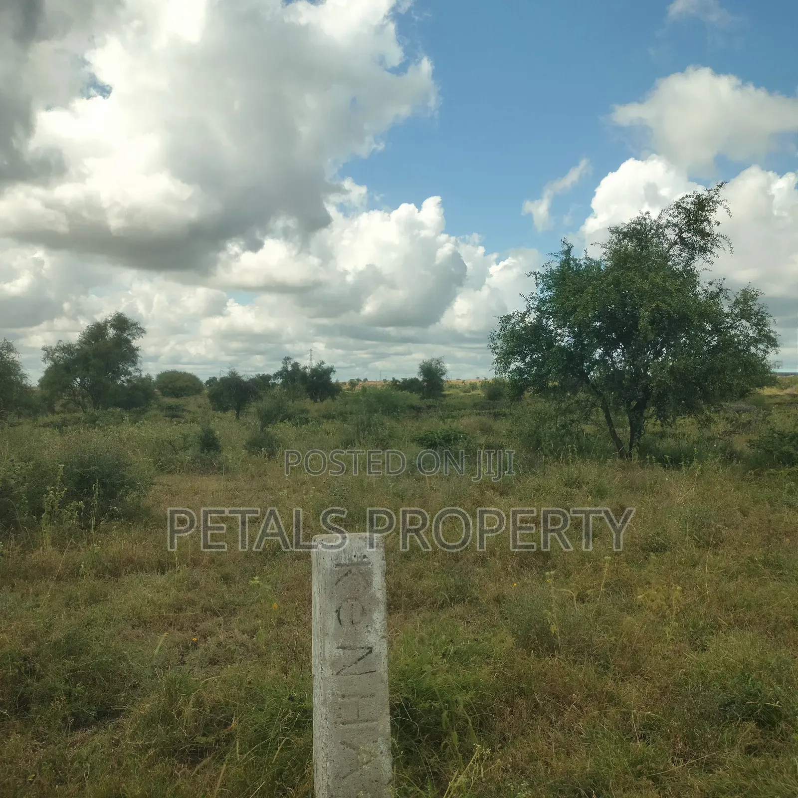Kajiado 50-Acre Property: Prime Land with Road Access! in DalaleKutuk