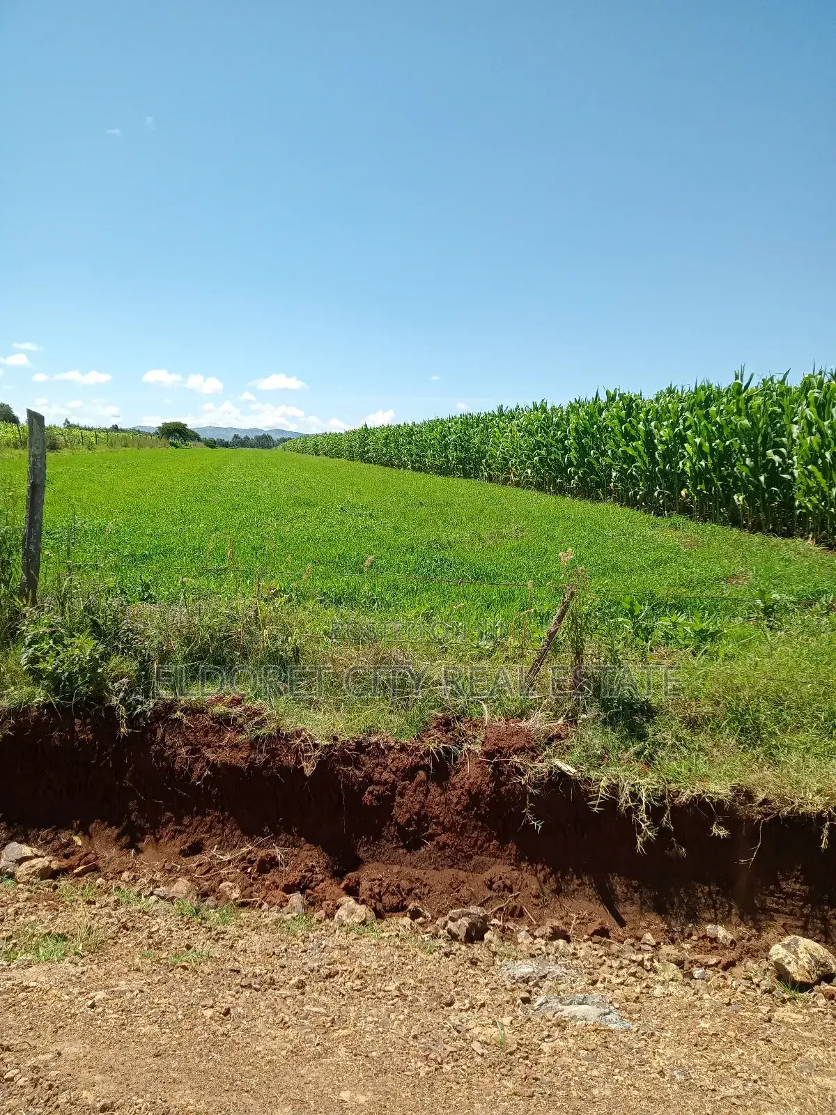 2 Acres.Moiben Garage With Title of 50 Acres in Kapsuswa