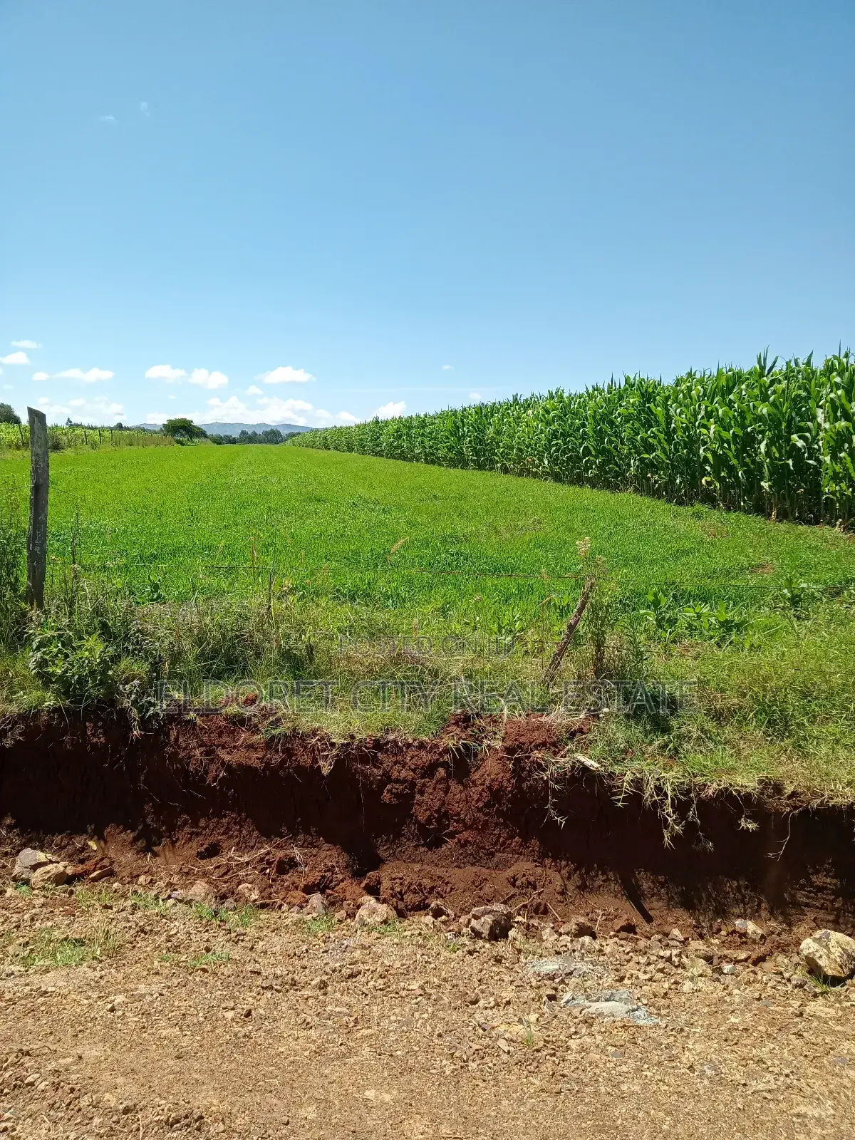 2 Acres.Moiben Garage With Title of 50 Acres in Kapsuswa