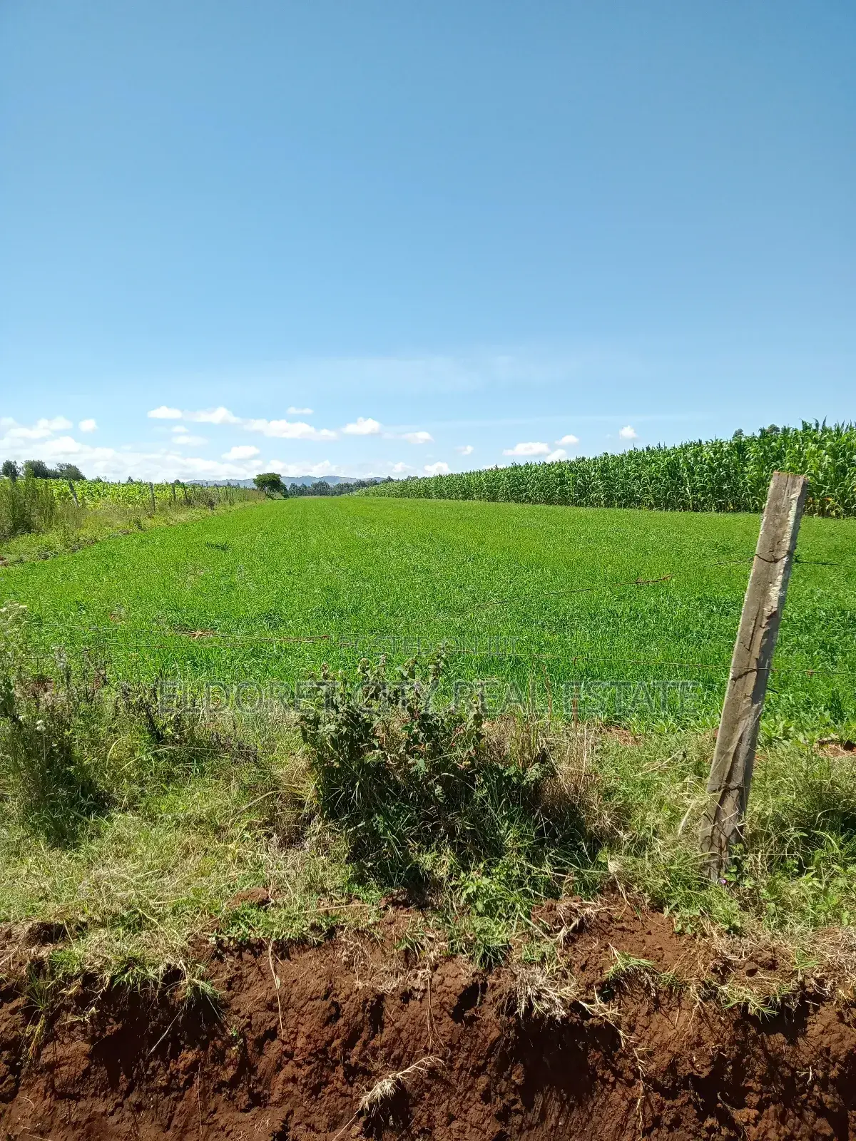 2 Acres.Moiben Garage With Title of 50 Acres in Kapsuswa