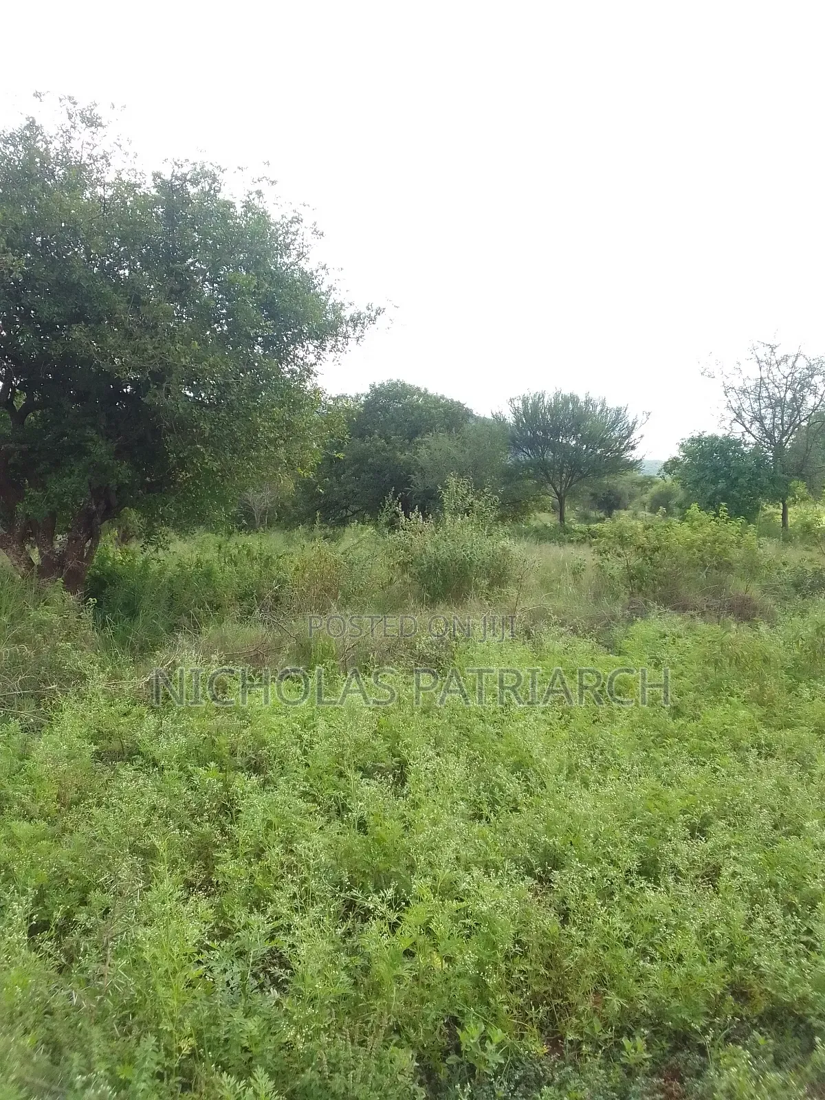200 Acres Kitui Mutha at Per Acre in Mutomo