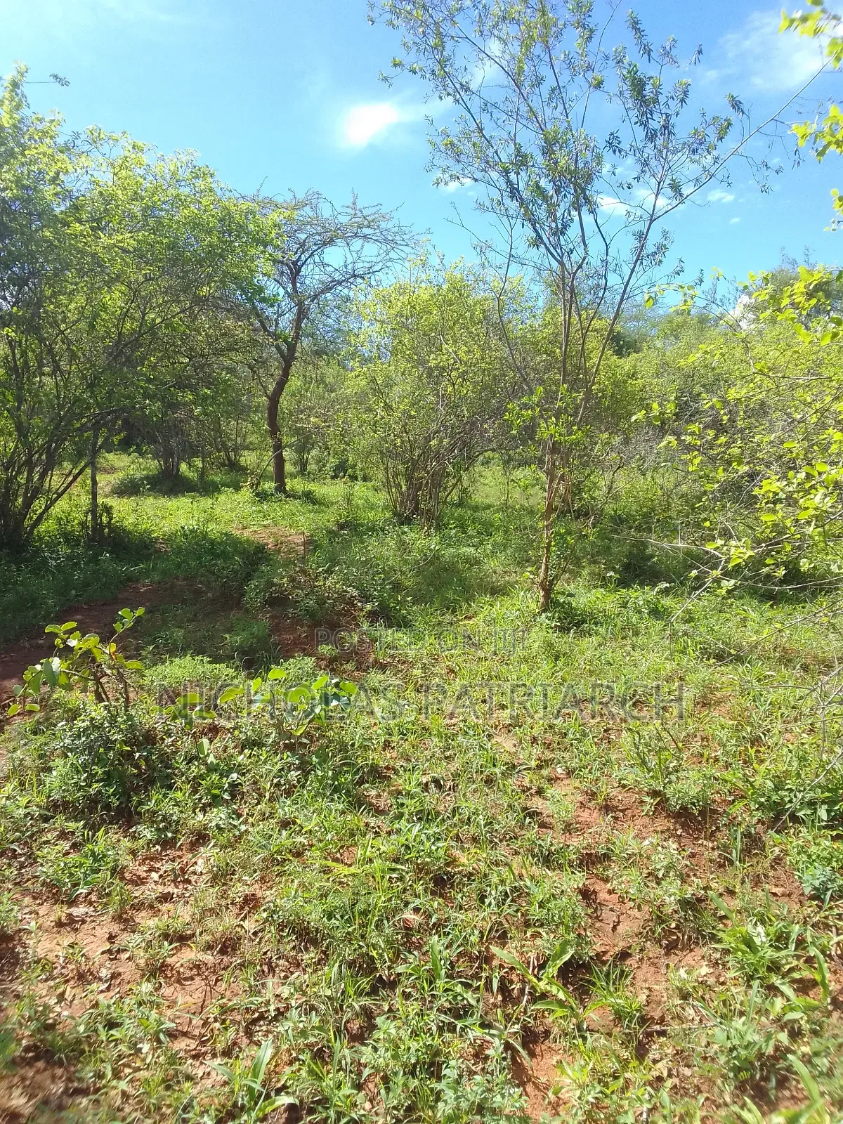 200 Acres Kitui Mutha at Per Acre in Mutomo