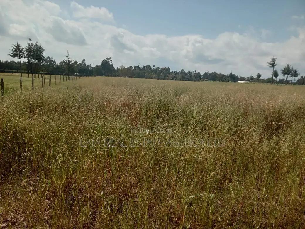 Your Next Adventure Starts Here - Land for Sale in Naivasha East