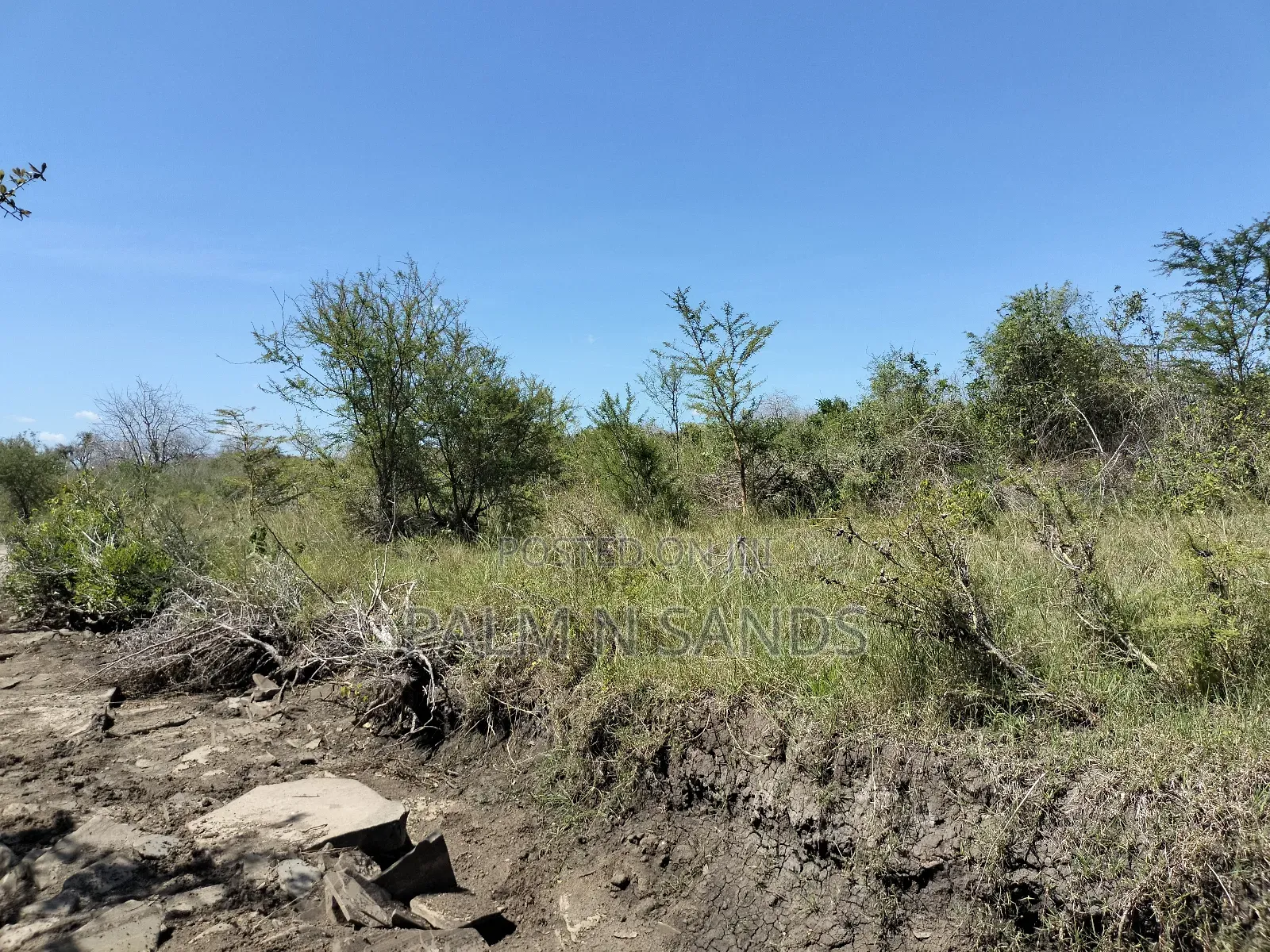 Kilifi, Kenya: 750 Acres of Land Available for Purchase in Adu