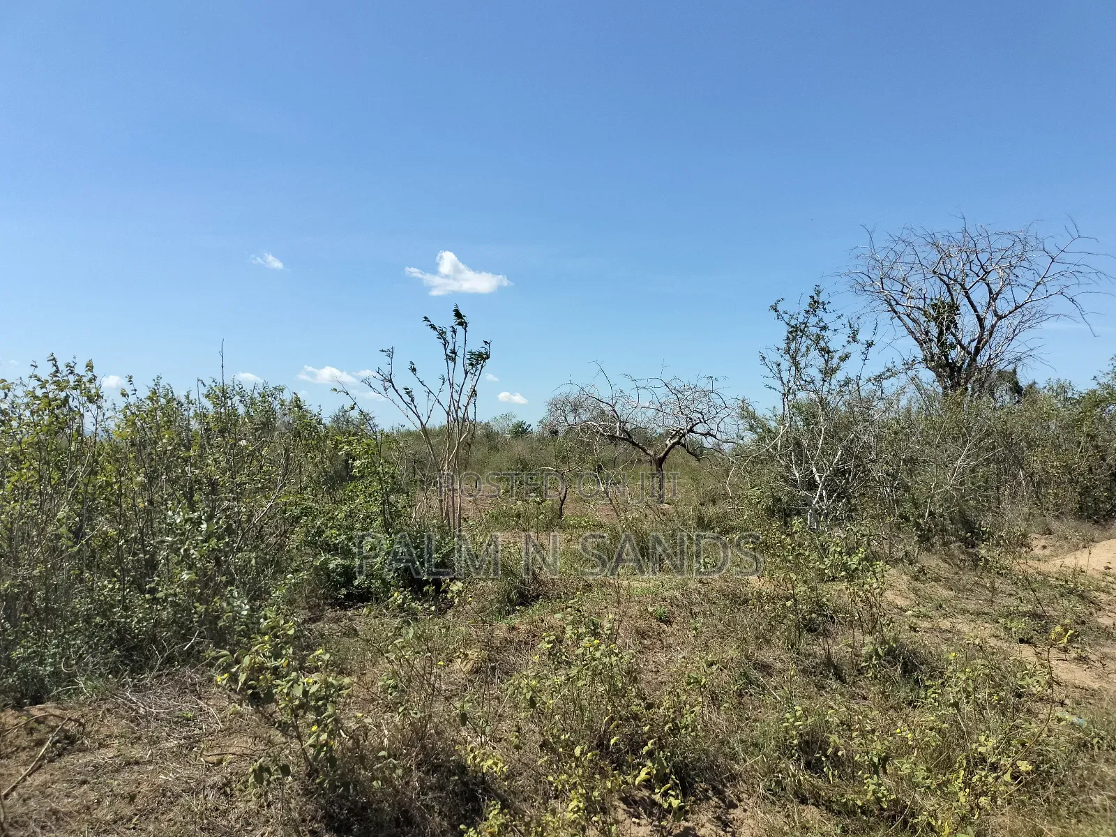 Kilifi, Kenya: 750 Acres of Land Available for Purchase in Adu