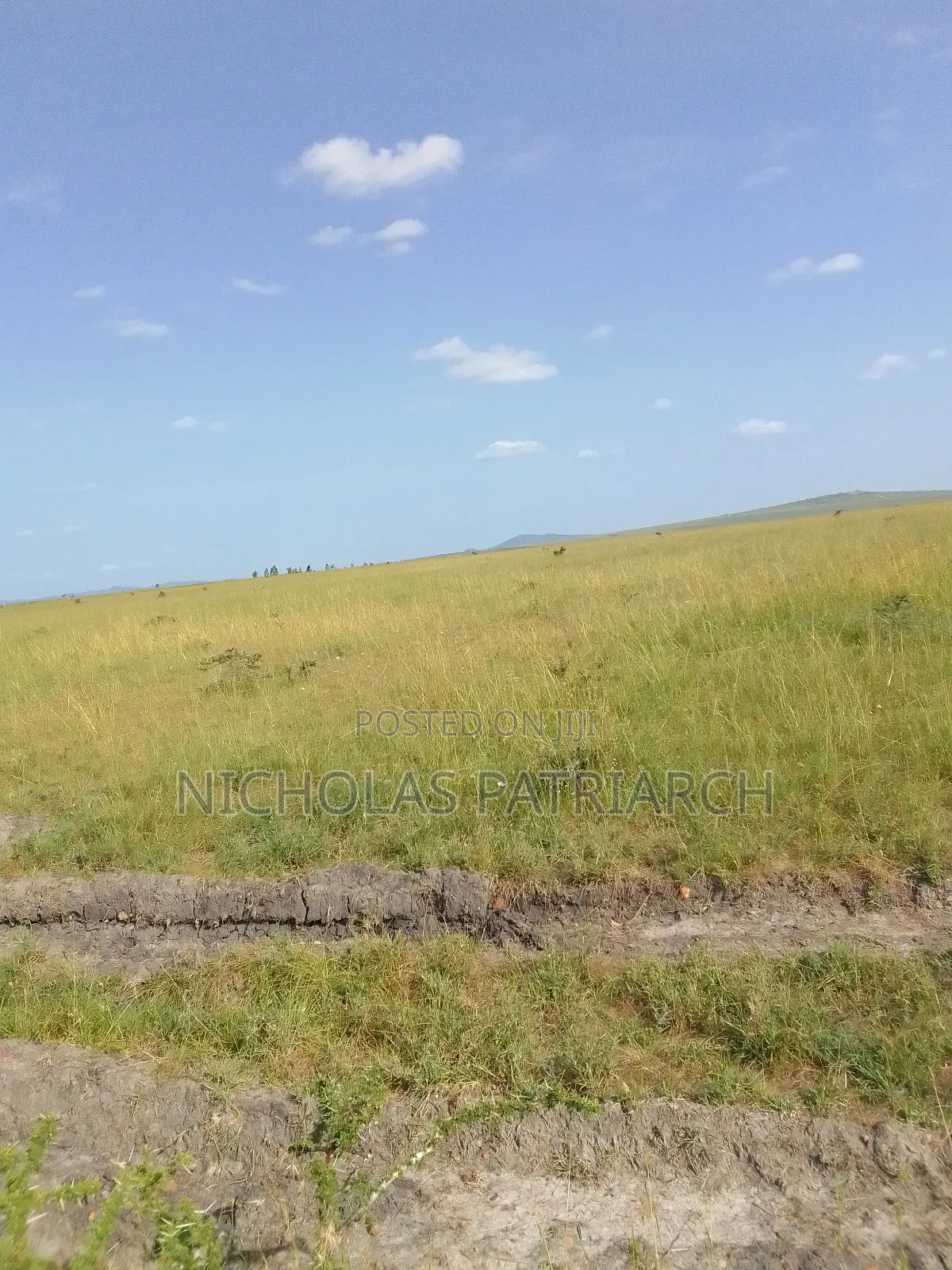 10.8 Acres Malili/Konza Milimani at 18m for the Block in Malili