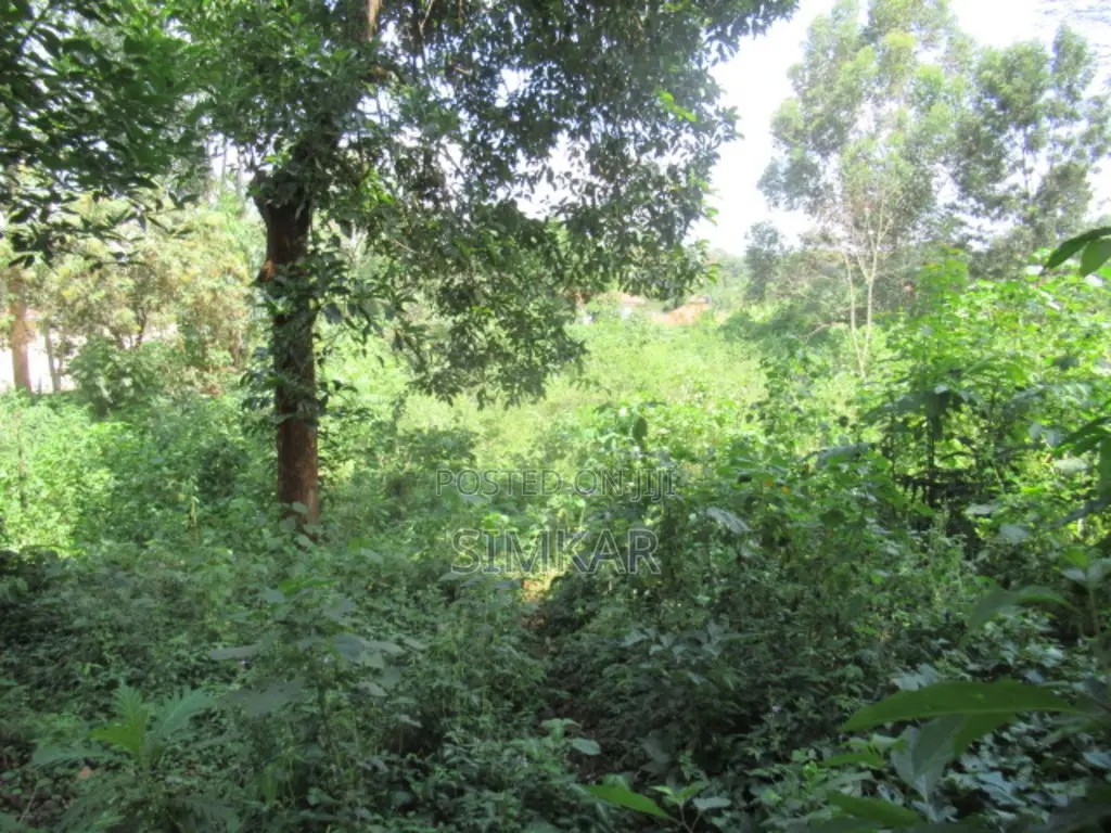 Invest in a 1-Acre Property in Exclusive Runda - Unmatched Potential in Runda
