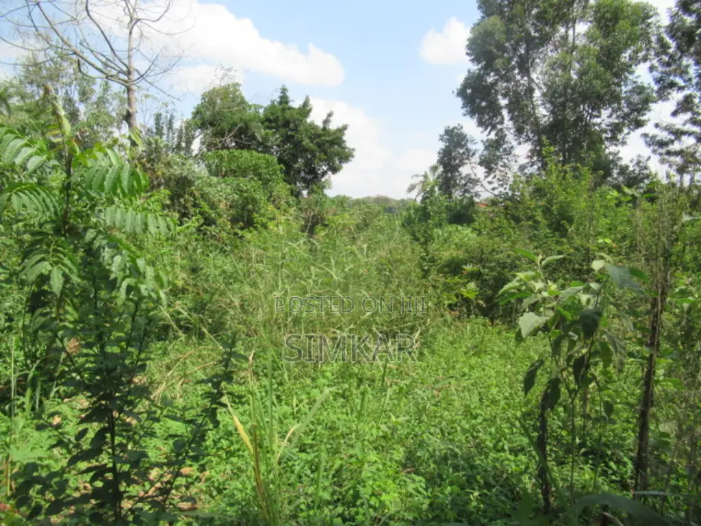 Invest in a 1-Acre Property in Exclusive Runda - Unmatched Potential in Runda