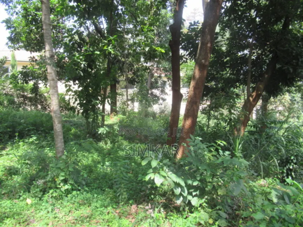Invest in a 1-Acre Property in Exclusive Runda - Unmatched Potential in Runda