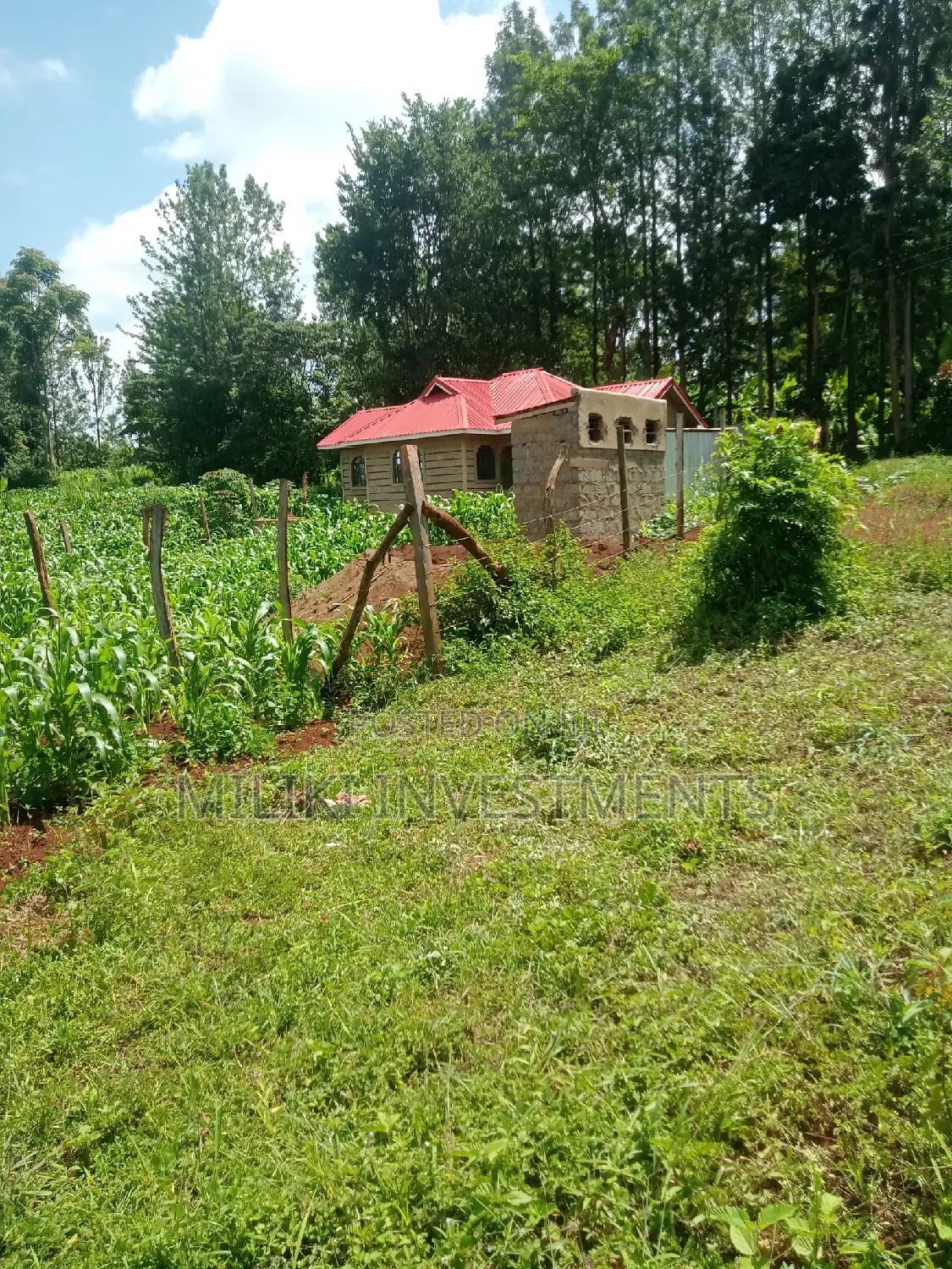 Maragua, Spacious 50 by 100 Plot for Sale in Nginda
