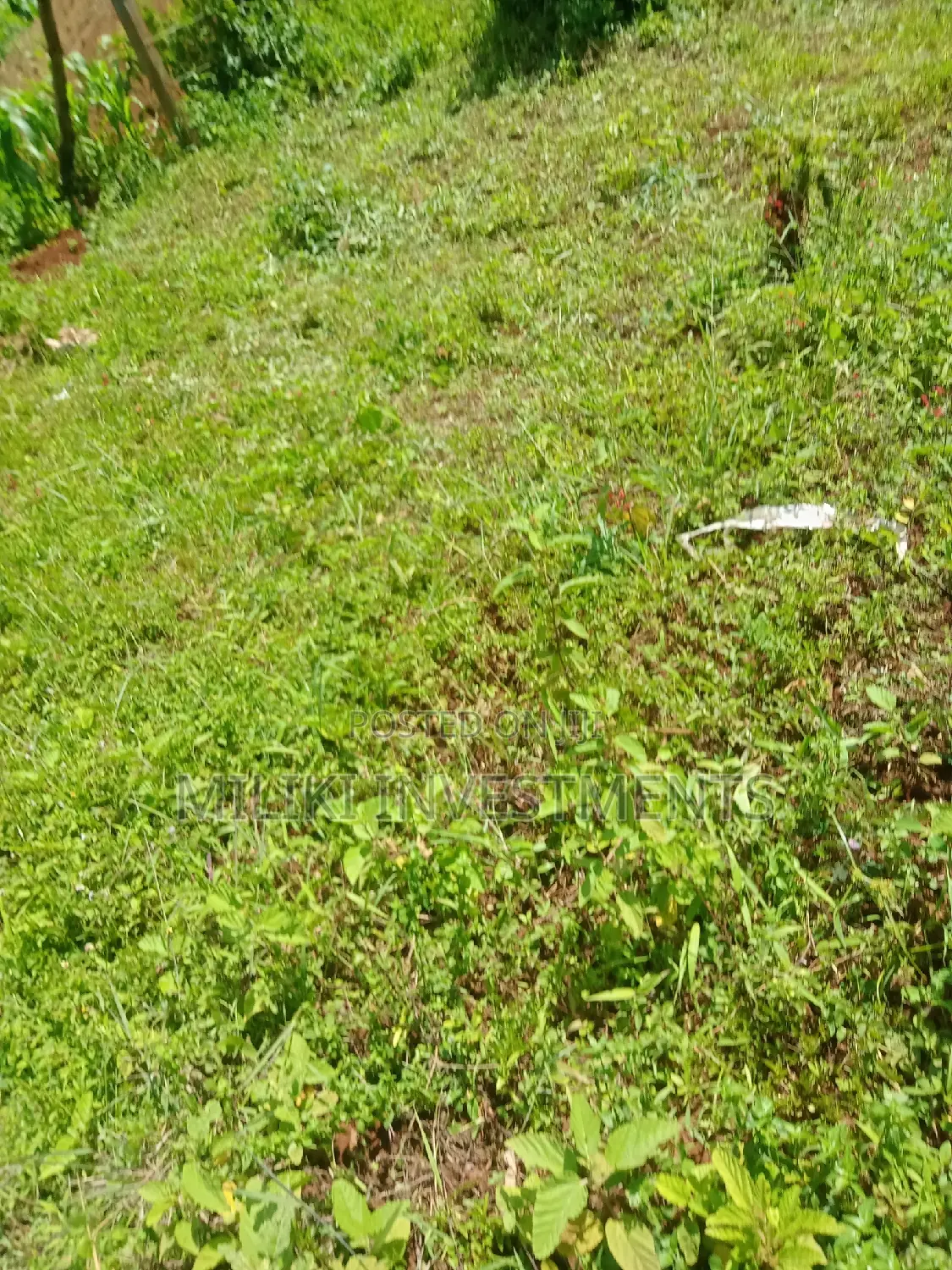 Maragua, Spacious 50 by 100 Plot for Sale in Nginda