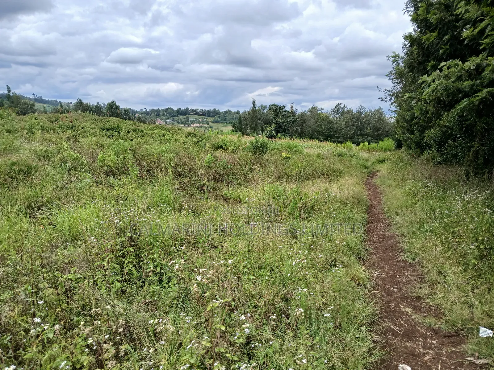 Red Soil Land for Sale - 0.150 Hectare in Upper Matasia, Kaurrai in Matasia