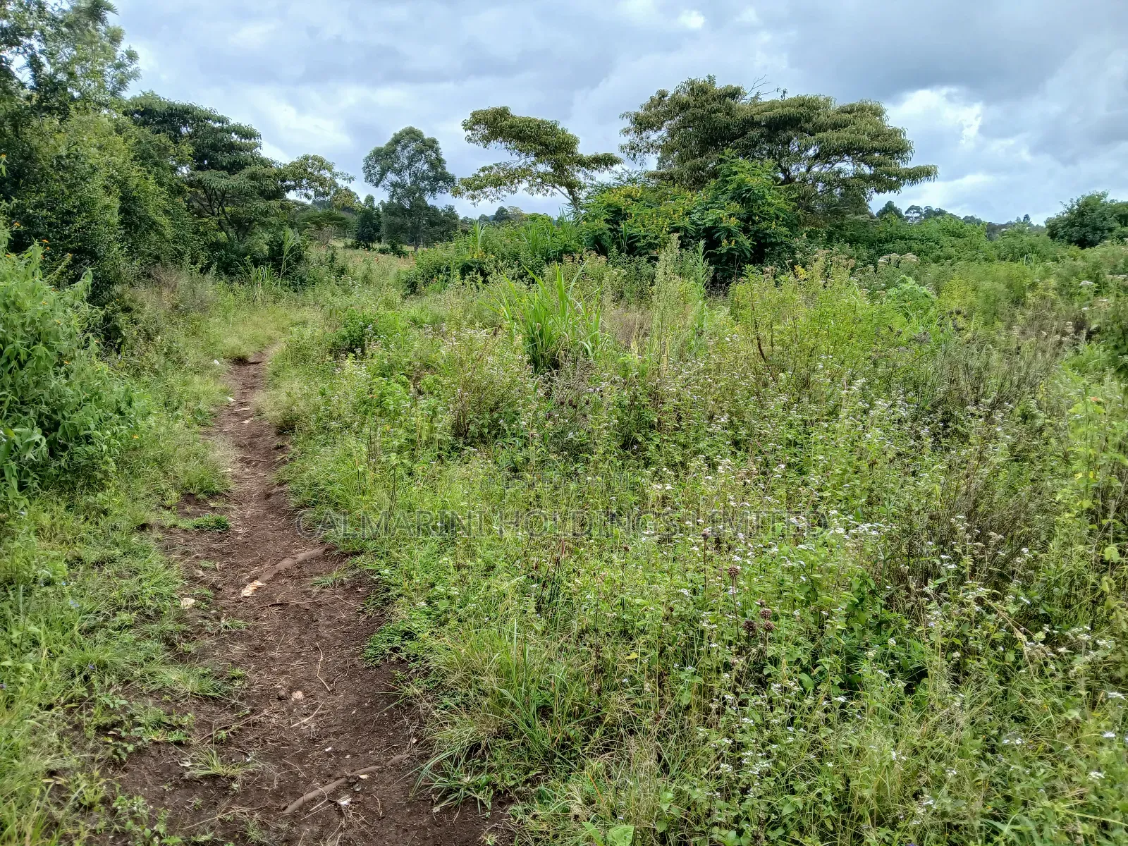 Red Soil Land for Sale - 0.150 Hectare in Upper Matasia, Kaurrai in Matasia