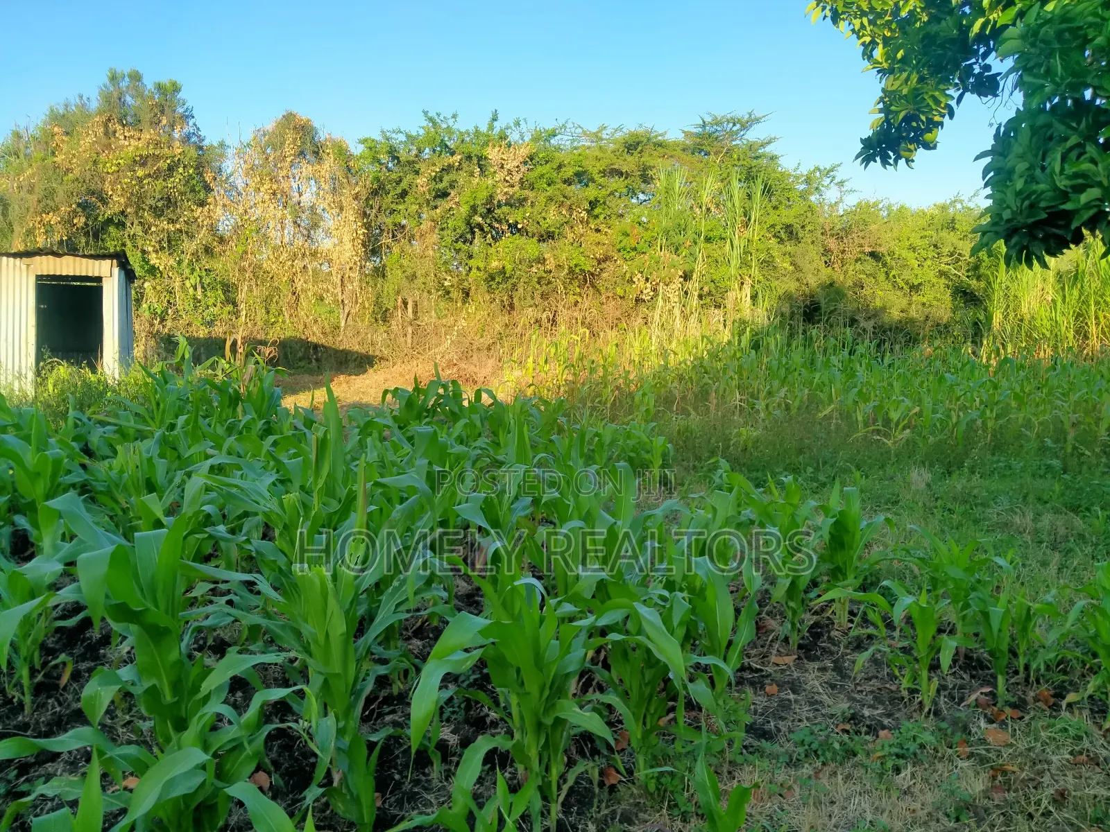 Gated Residential Quarter Acre Plot in Ongata Rongai Kandisi in Kandisi