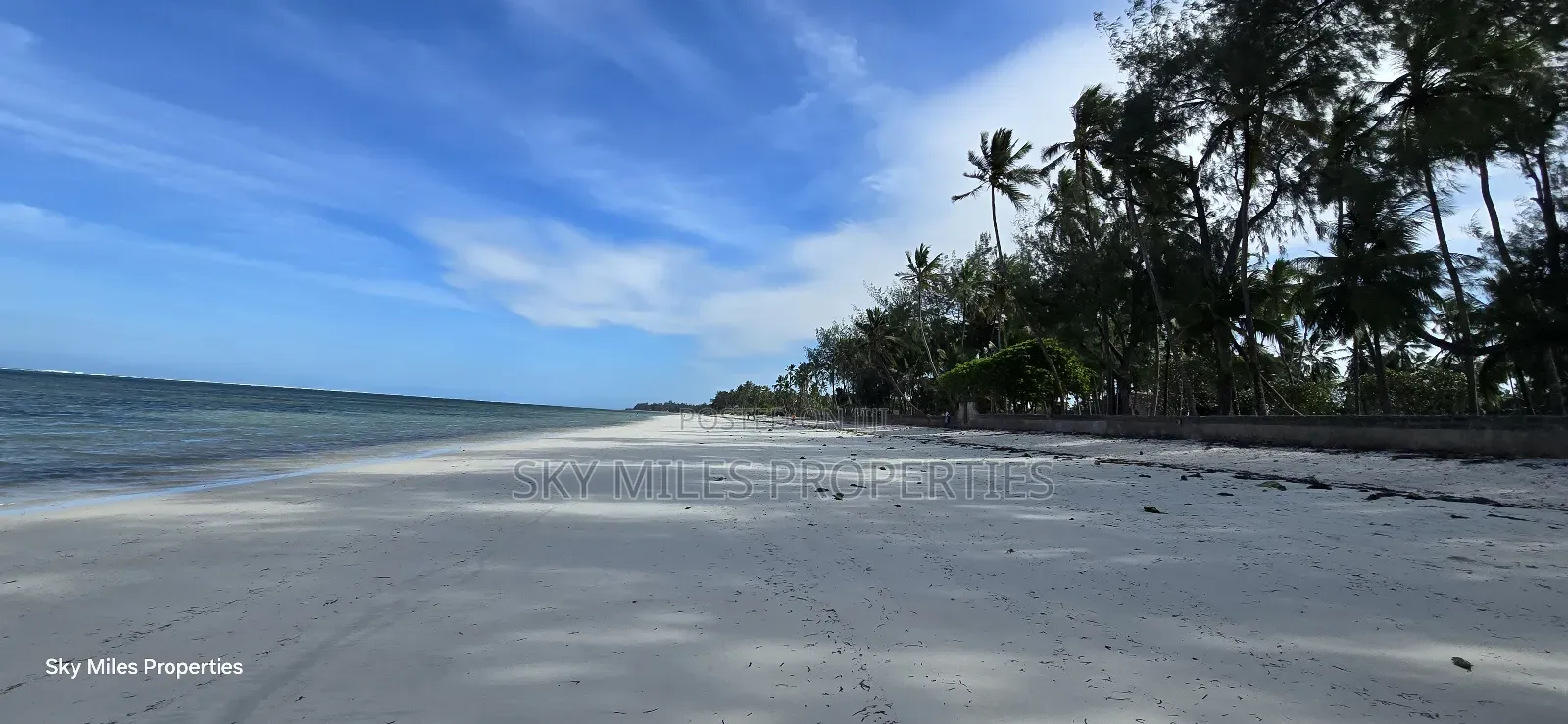 Kikambala Seaside Property: 4-Acre Beach Plot Available in Kikambala