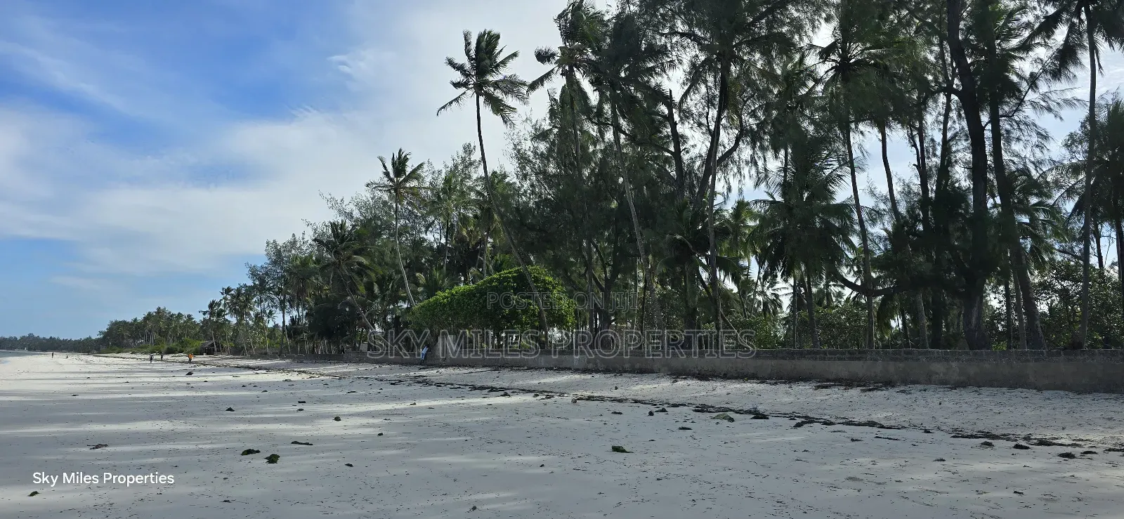 Kikambala Seaside Property: 4-Acre Beach Plot Available in Kikambala
