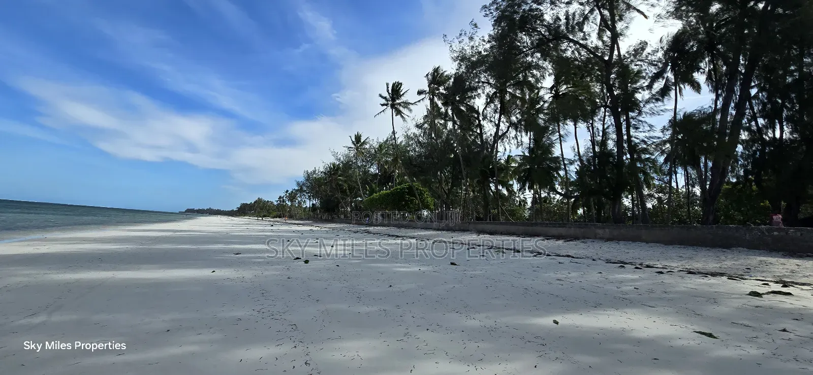 Kikambala Seaside Property: 4-Acre Beach Plot Available in Kikambala