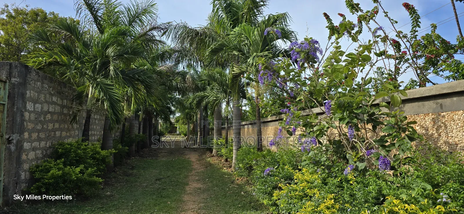 1/2 Acre Second Row Beachfront Land in Kikambala for Sale in Kikambala