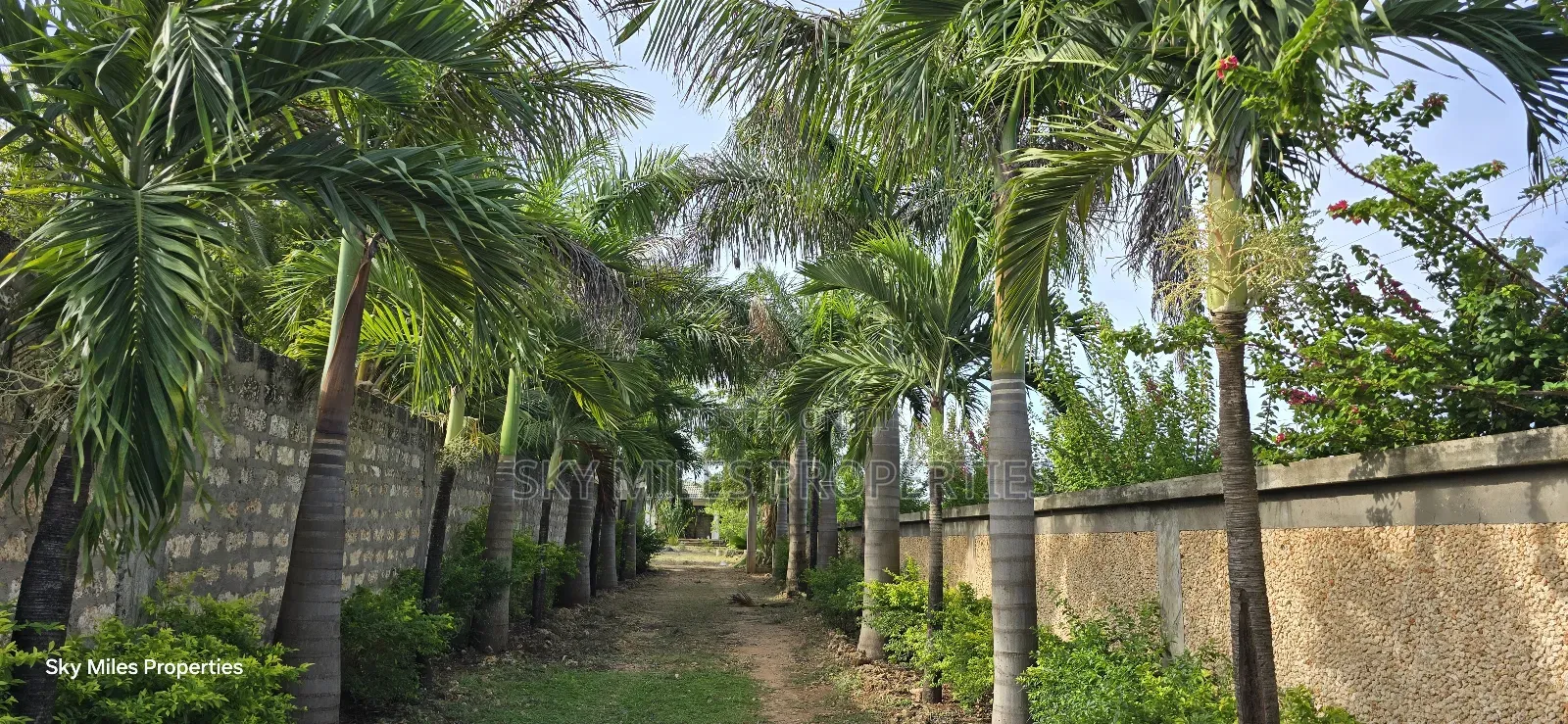 1/2 Acre Second Row Beachfront Land in Kikambala for Sale in Kikambala