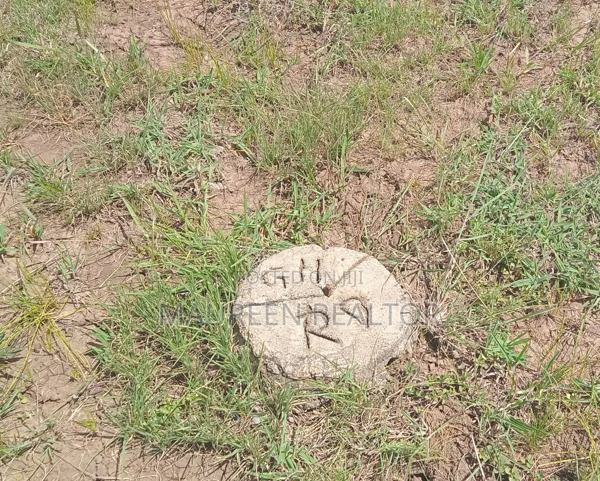 Invest in Prime Plot-Tola Ngoigwa: Unbeatable Location and Amenities in Ngoingwa Estate