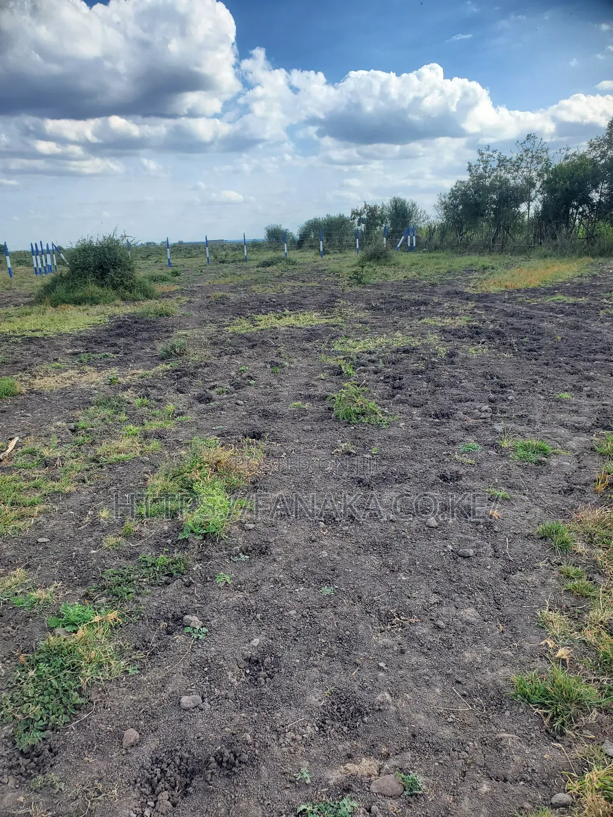 Prime Plots in Gikumari ^Pww in Kamakis