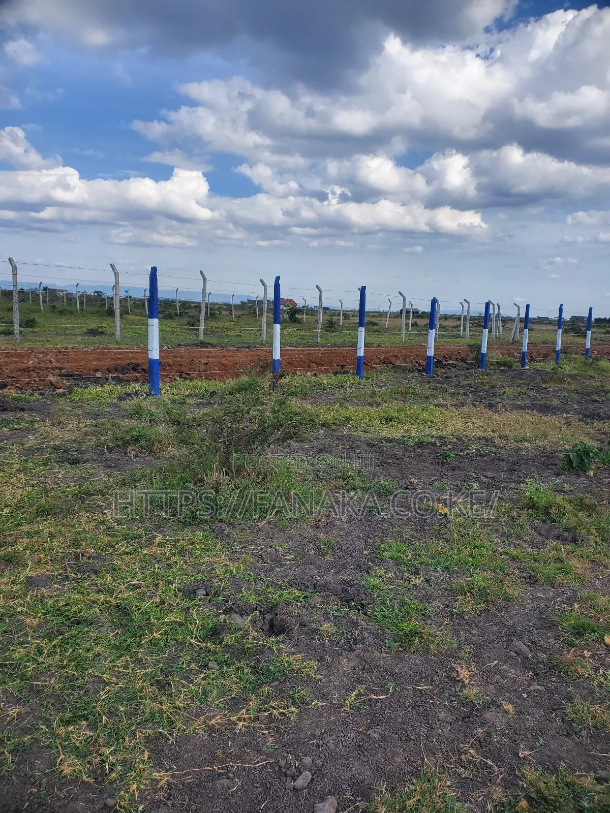Prime Plots in Gikumari ^Pww in Kamakis