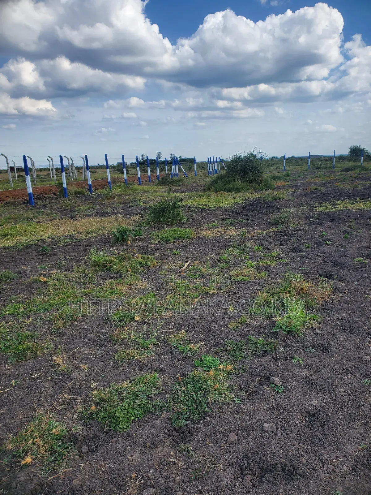 Prime Plots in Gikumari ^Pww in Kamakis