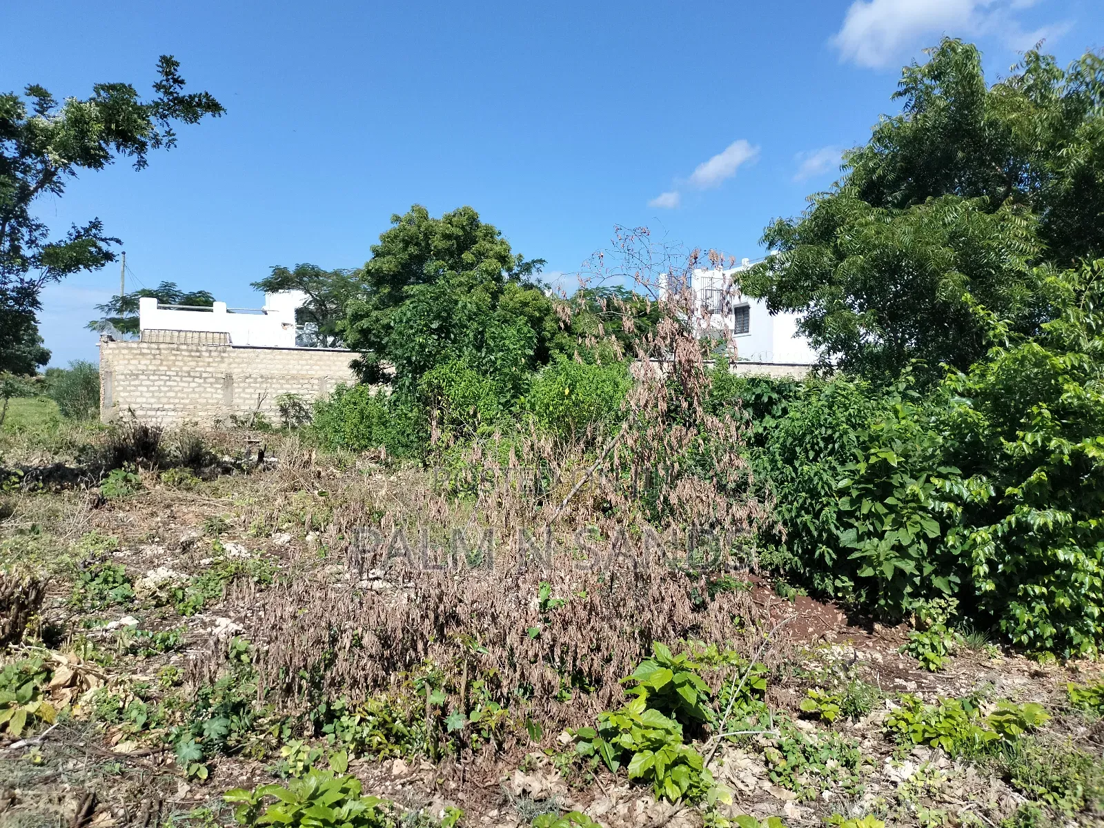 Exclusive Beachfront Plot Near Almanara Luxury Villas in Ukunda
