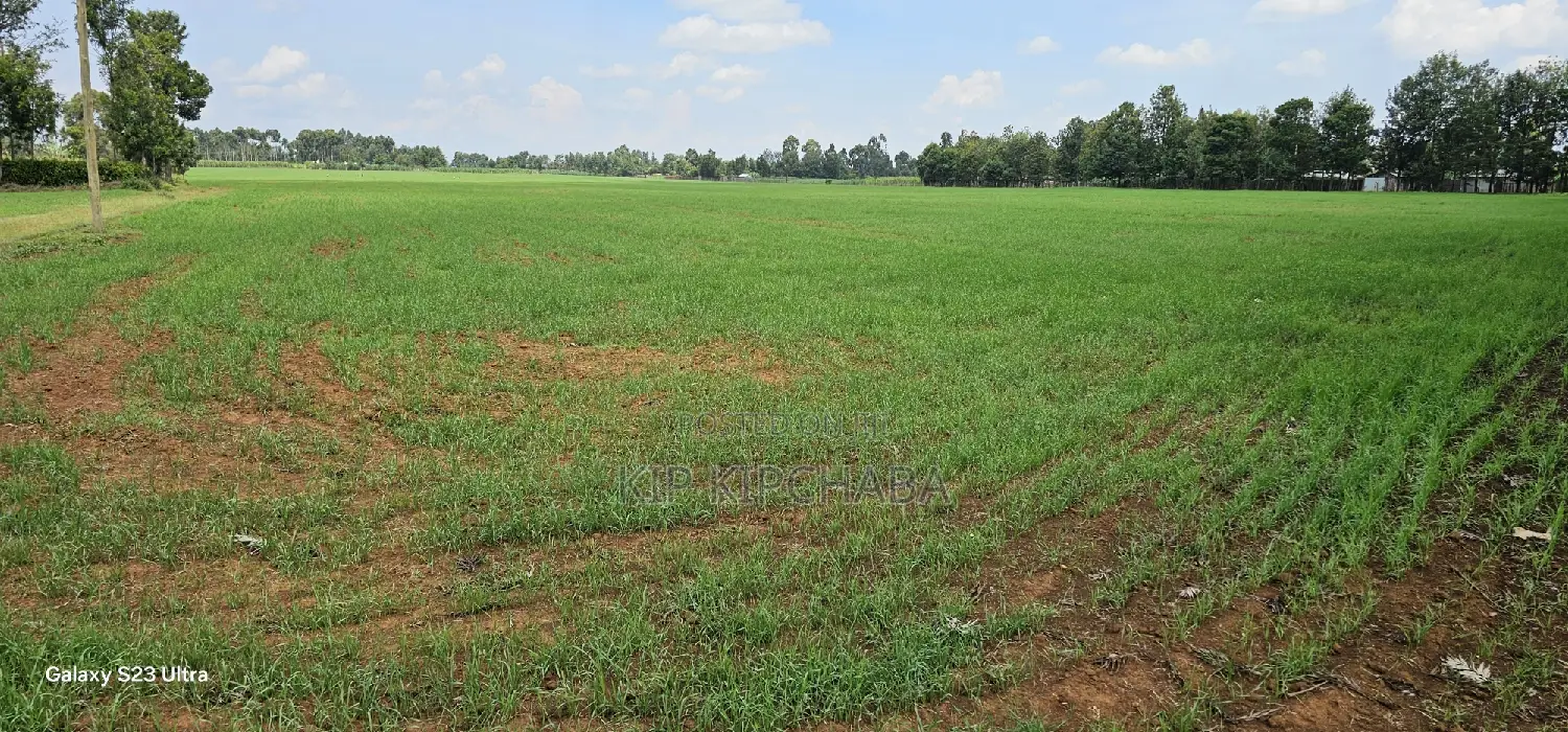 Prime 8-Acre Land for Sale in Sogomo Chepkoilel, Eldoret in Kimumu