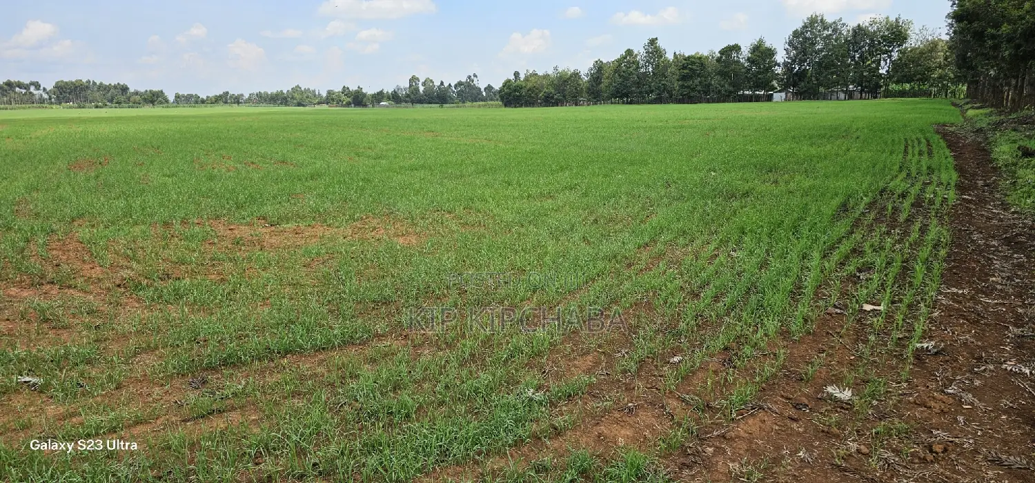 Prime 8-Acre Land for Sale in Sogomo Chepkoilel, Eldoret in Kimumu
