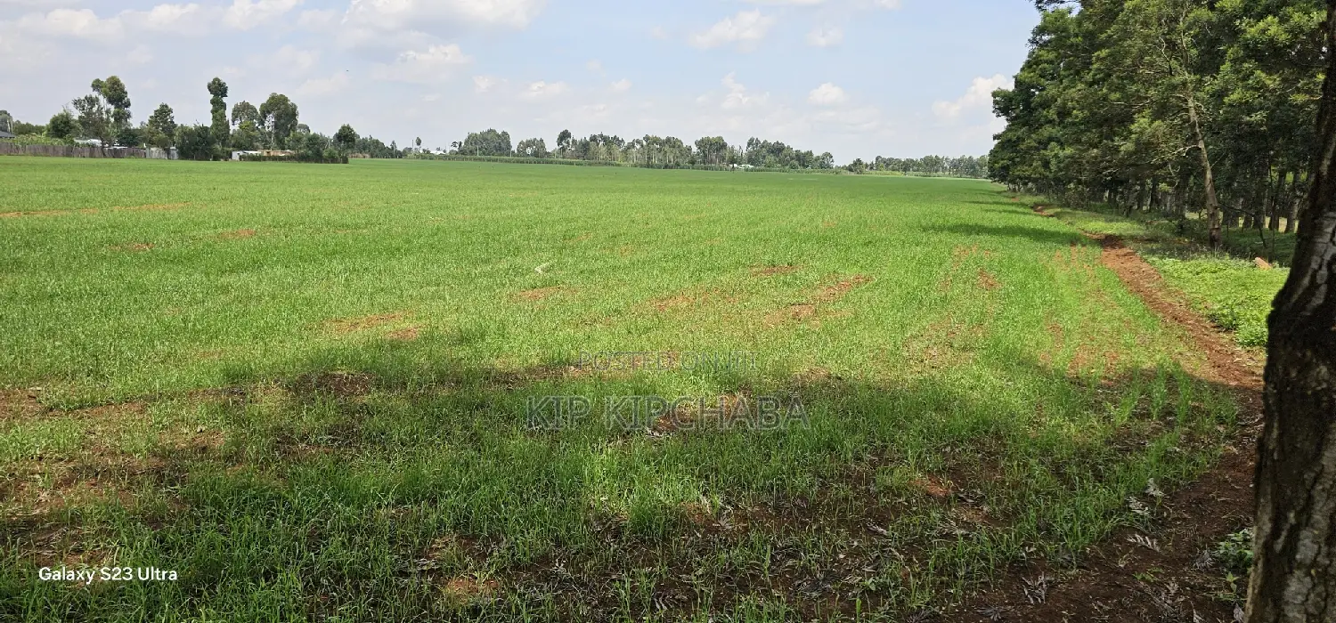 Prime 8-Acre Land for Sale in Sogomo Chepkoilel, Eldoret in Kimumu