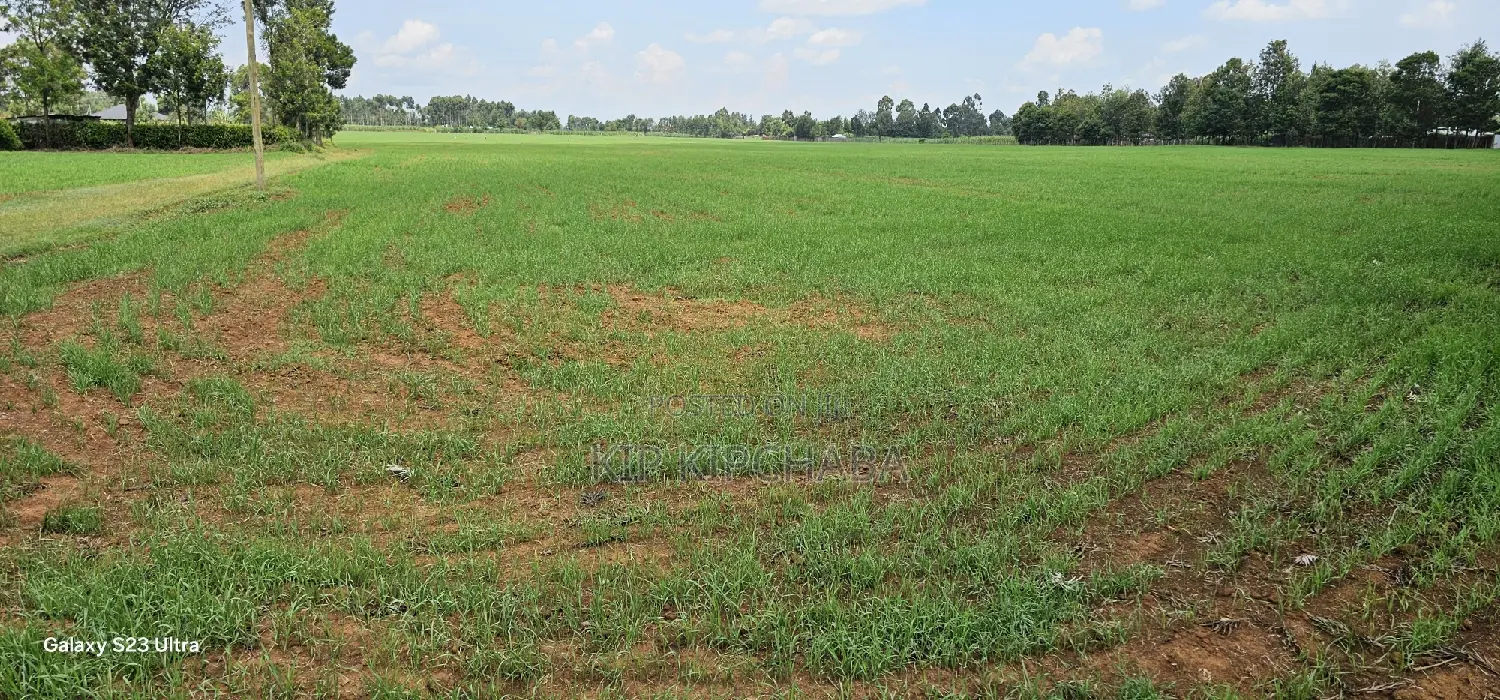 Prime 8-Acre Land for Sale in Sogomo Chepkoilel, Eldoret in Kimumu