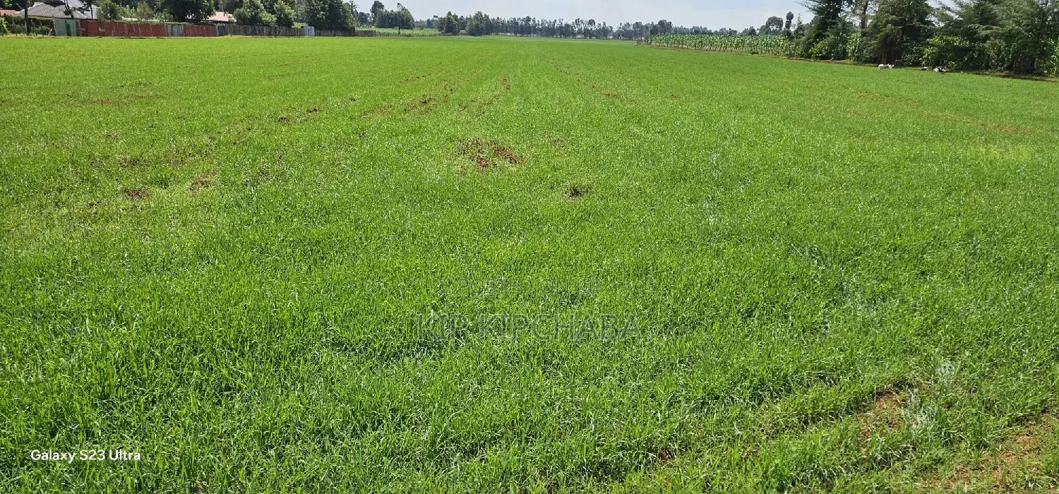 Prime 8-Acre Land for Sale in Sogomo Chepkoilel, Eldoret in Kimumu