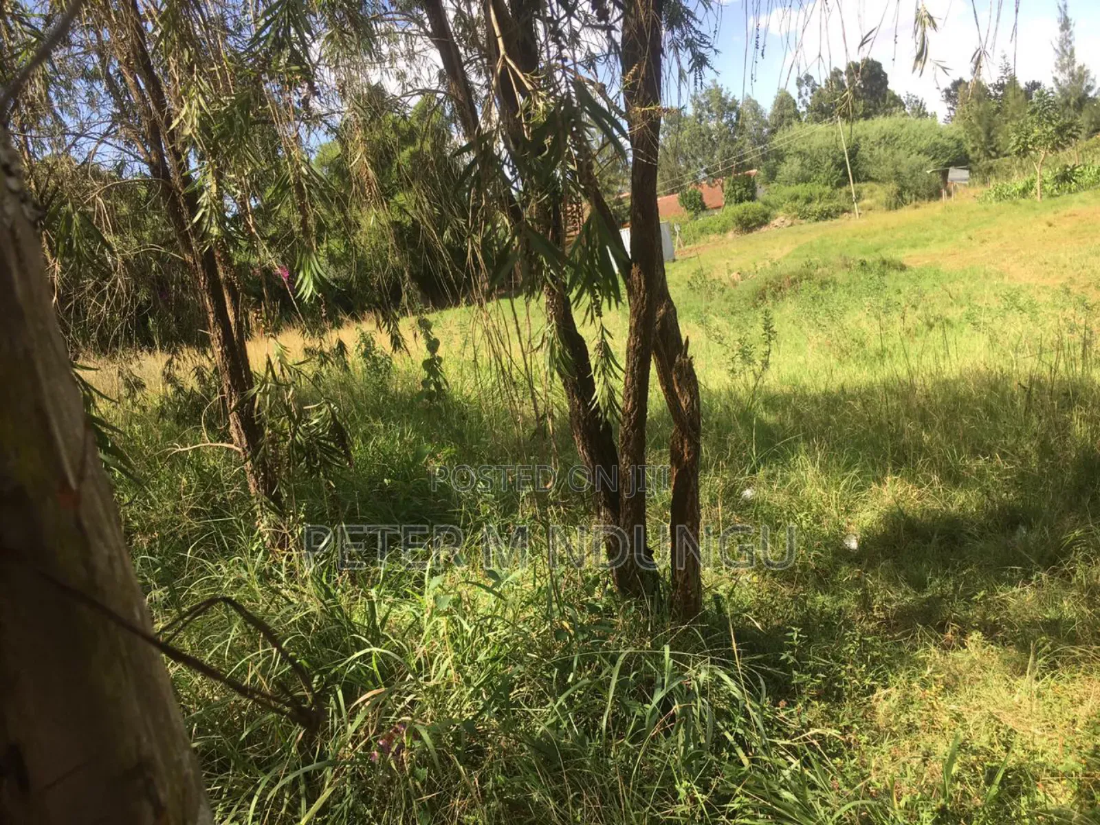 Thome Dream Home: Residential Plot on Sale in Thome